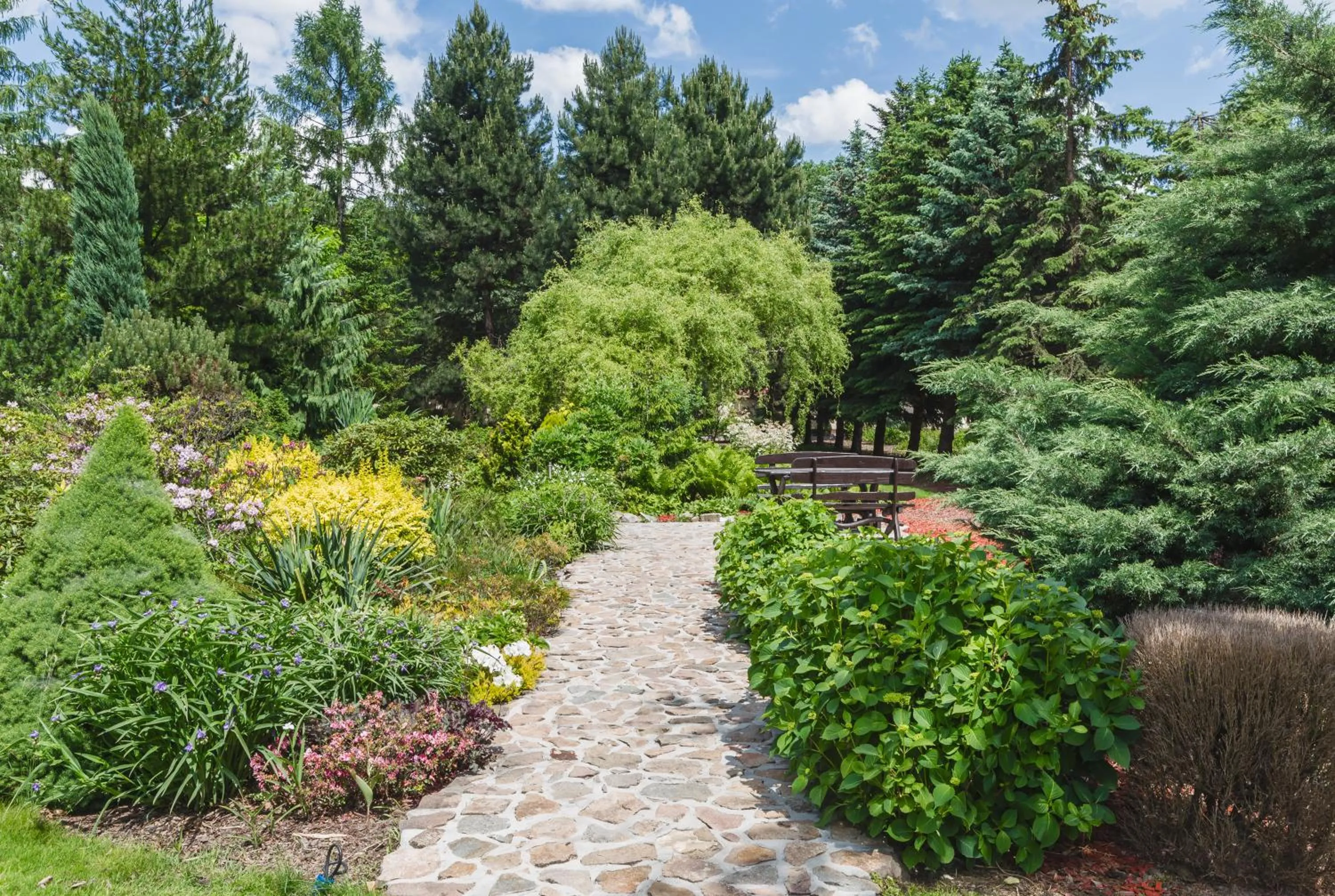 Garden in Hostel Biały Dom