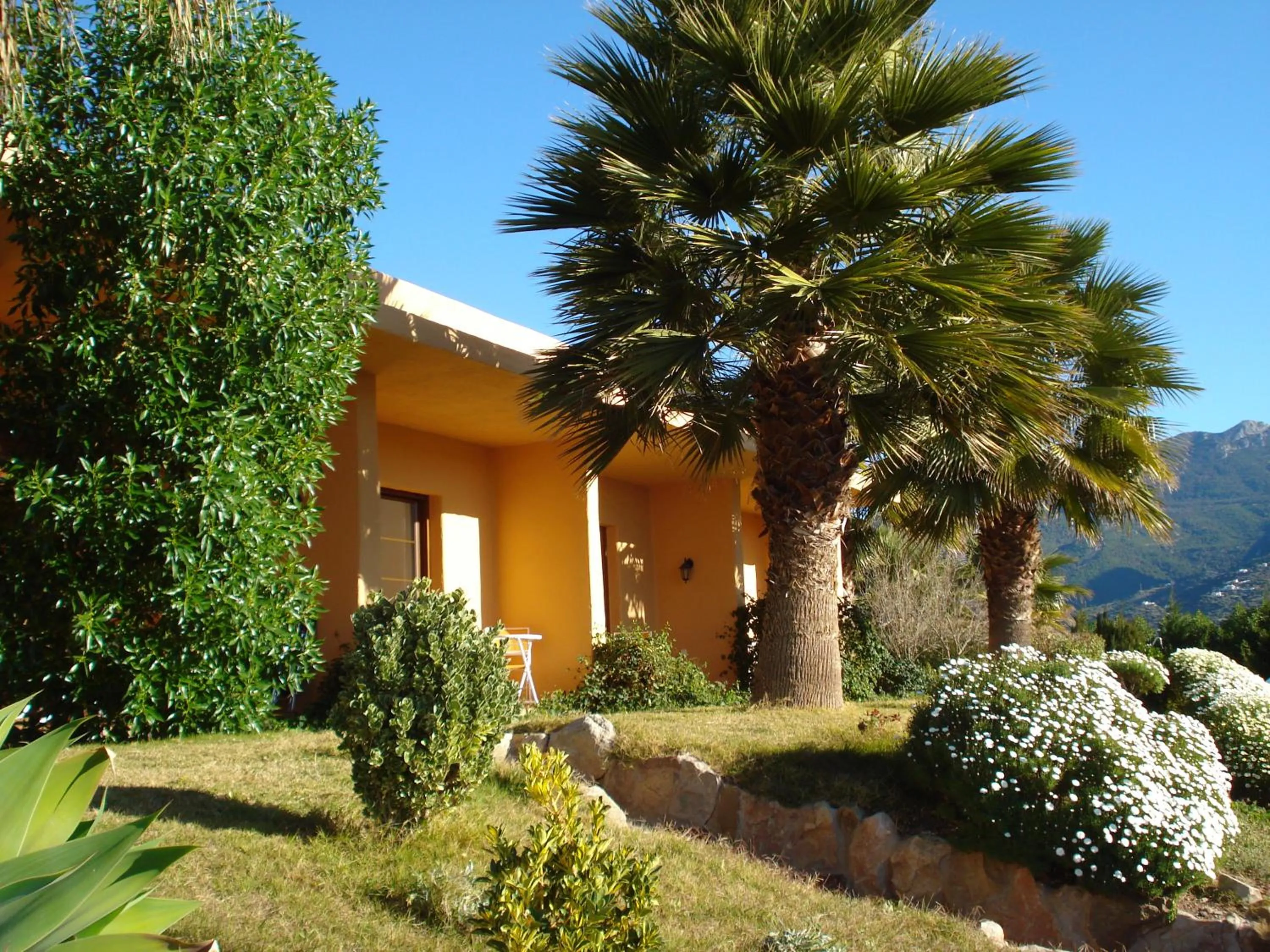 Day in Hotel Cortijo de Salia