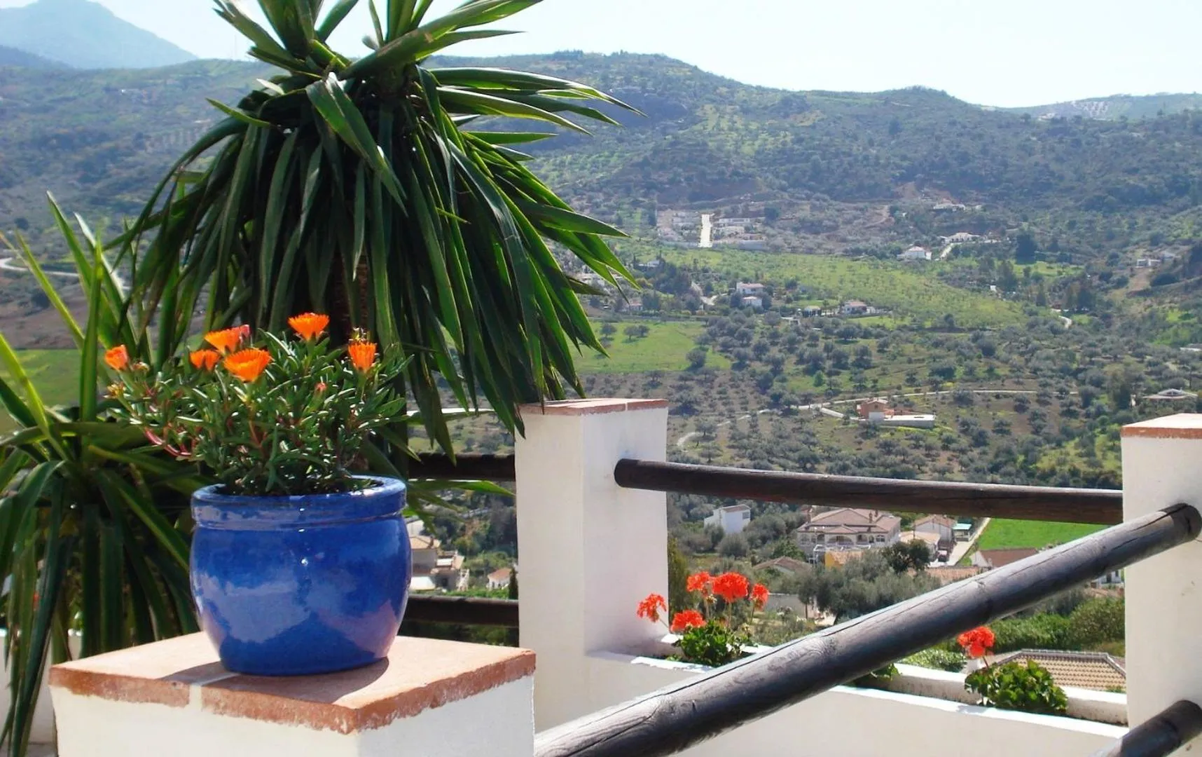 Balcony/Terrace in Hotel Cortijo de Salia
