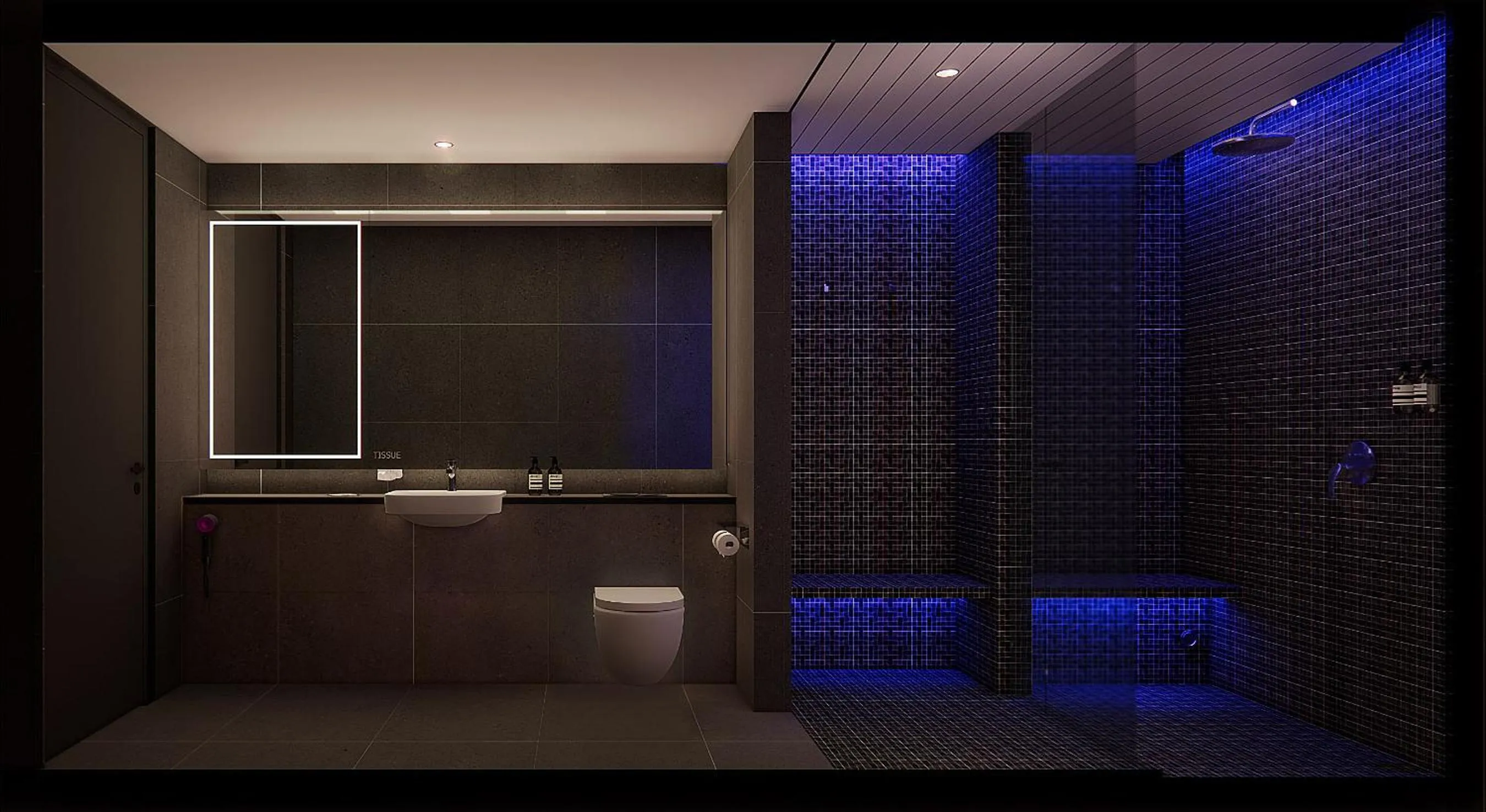 Shower in CapsuleTransit MAX - Terminal 2