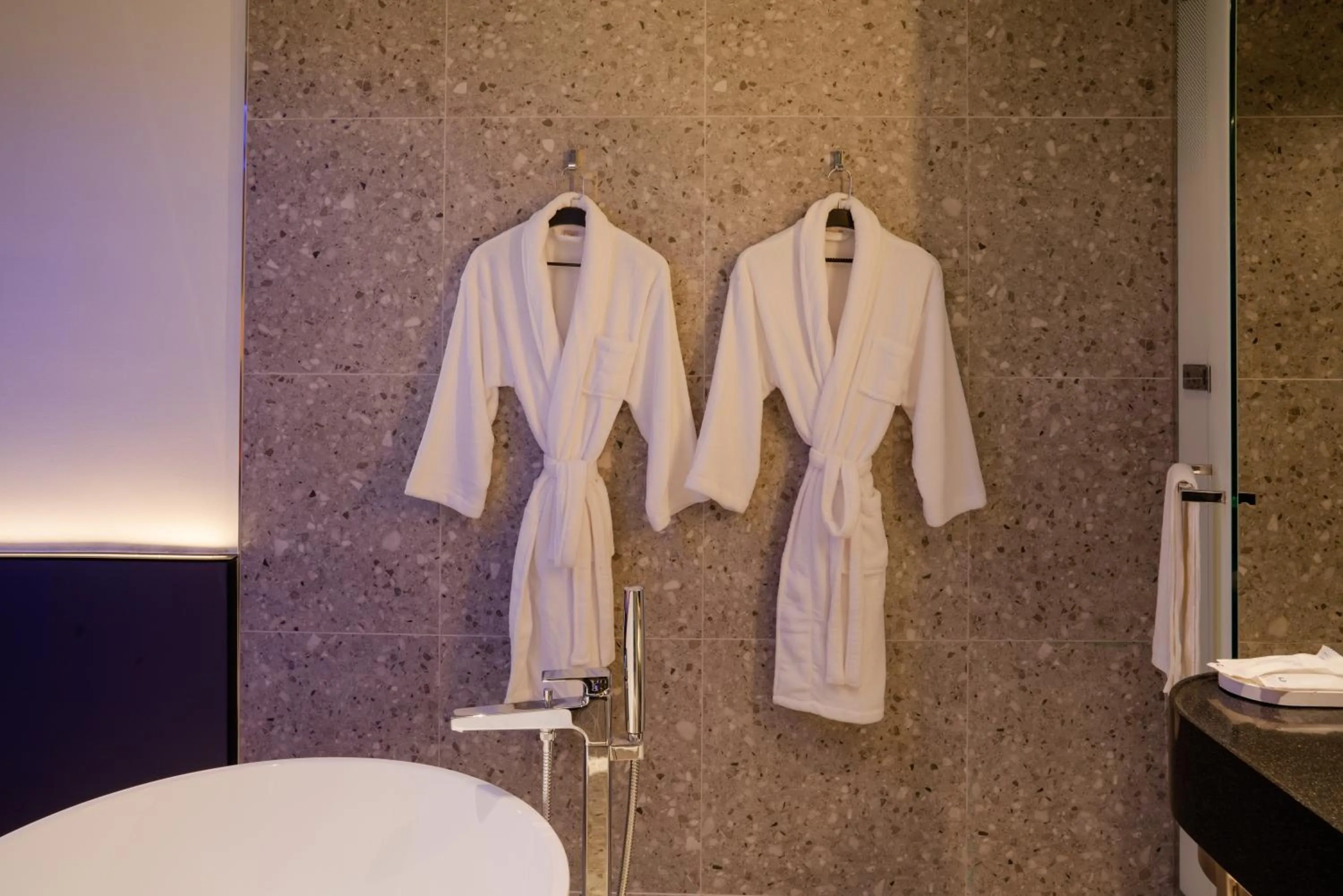 Shower in CapsuleTransit MAX - Terminal 2