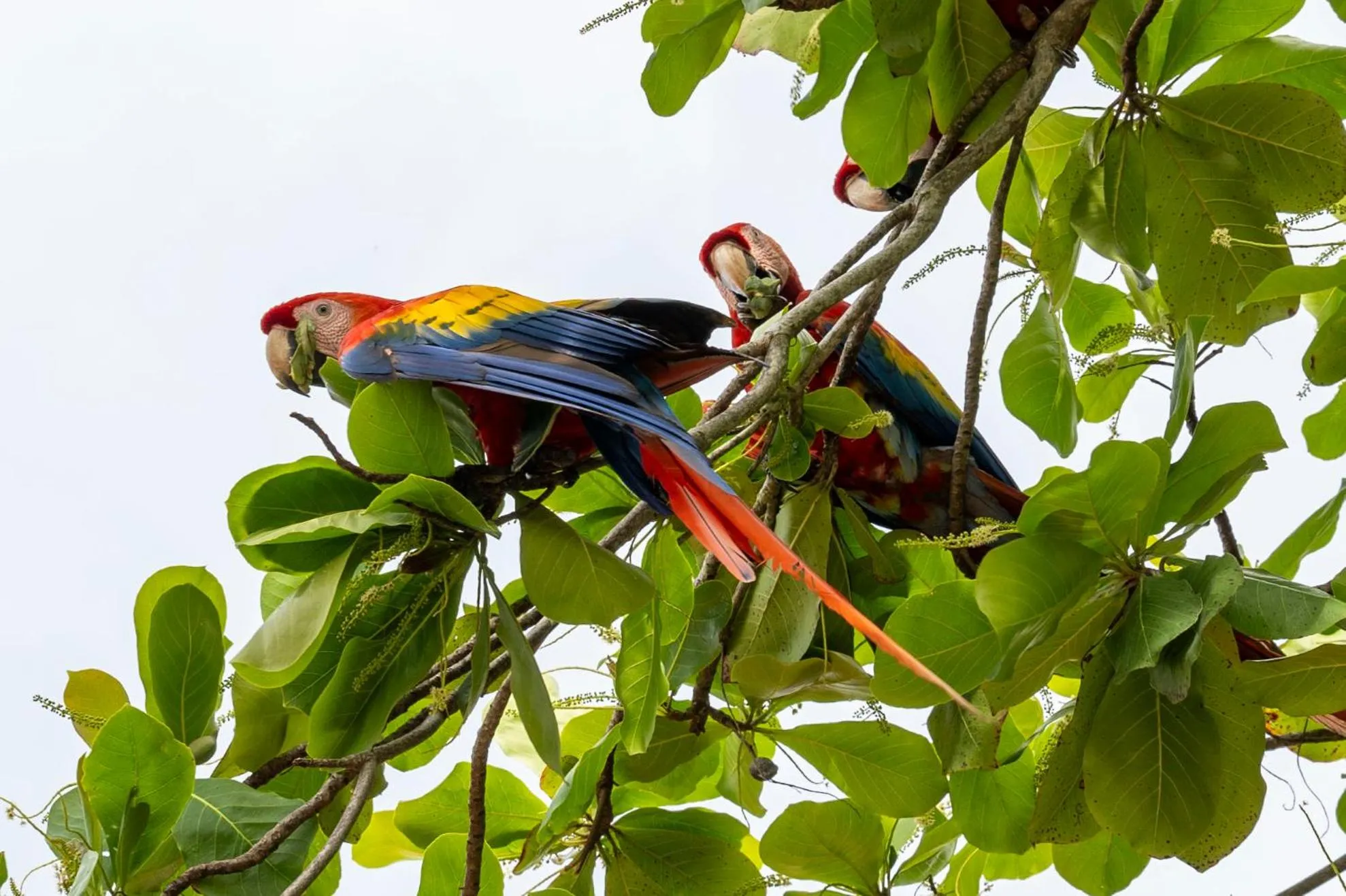 Natural landscape in Fuego del Sol Beachfront Hotel