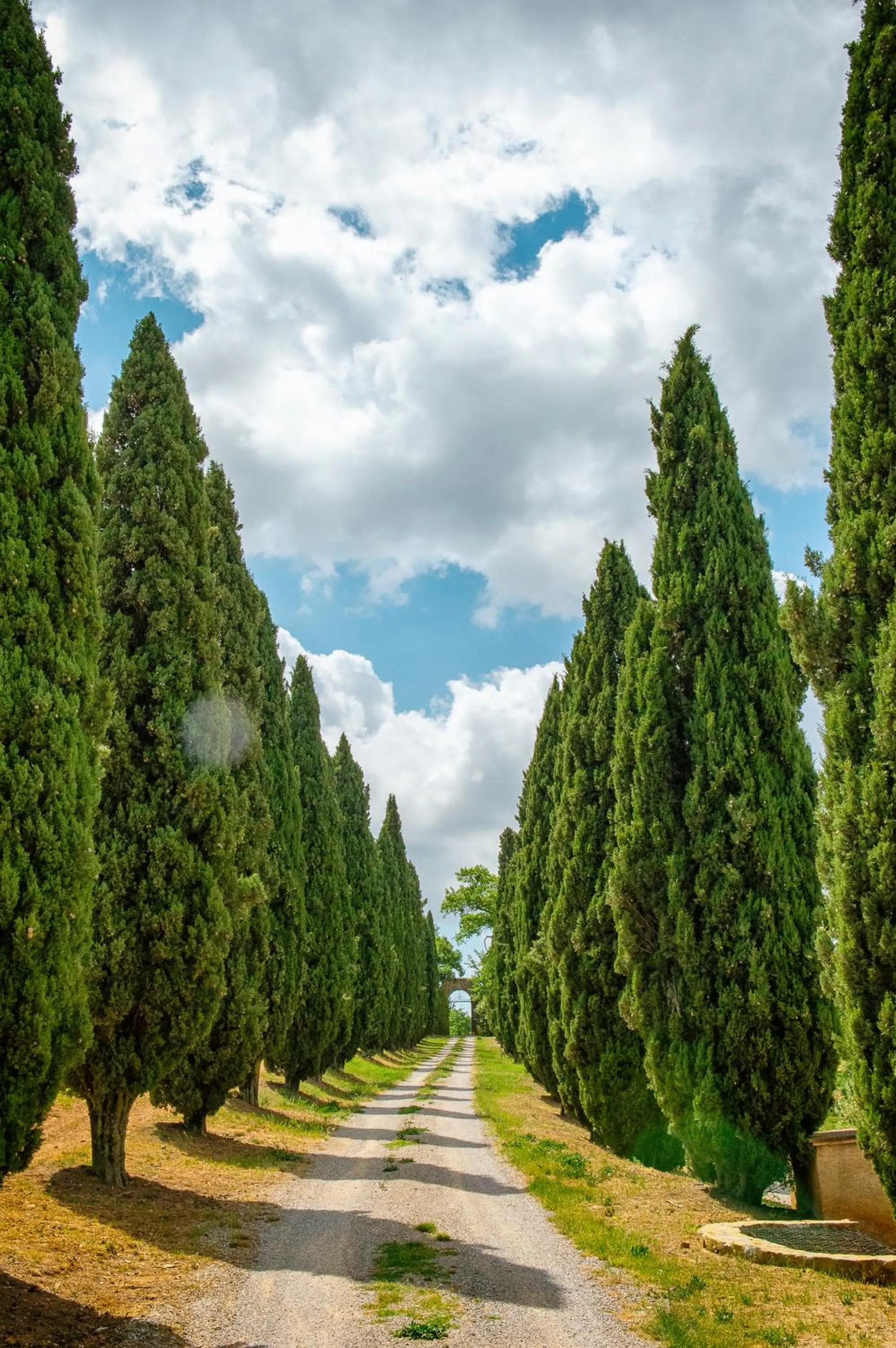 Garden in Villa Le Prata - Residenza del Vescovo - Cantina & Relais