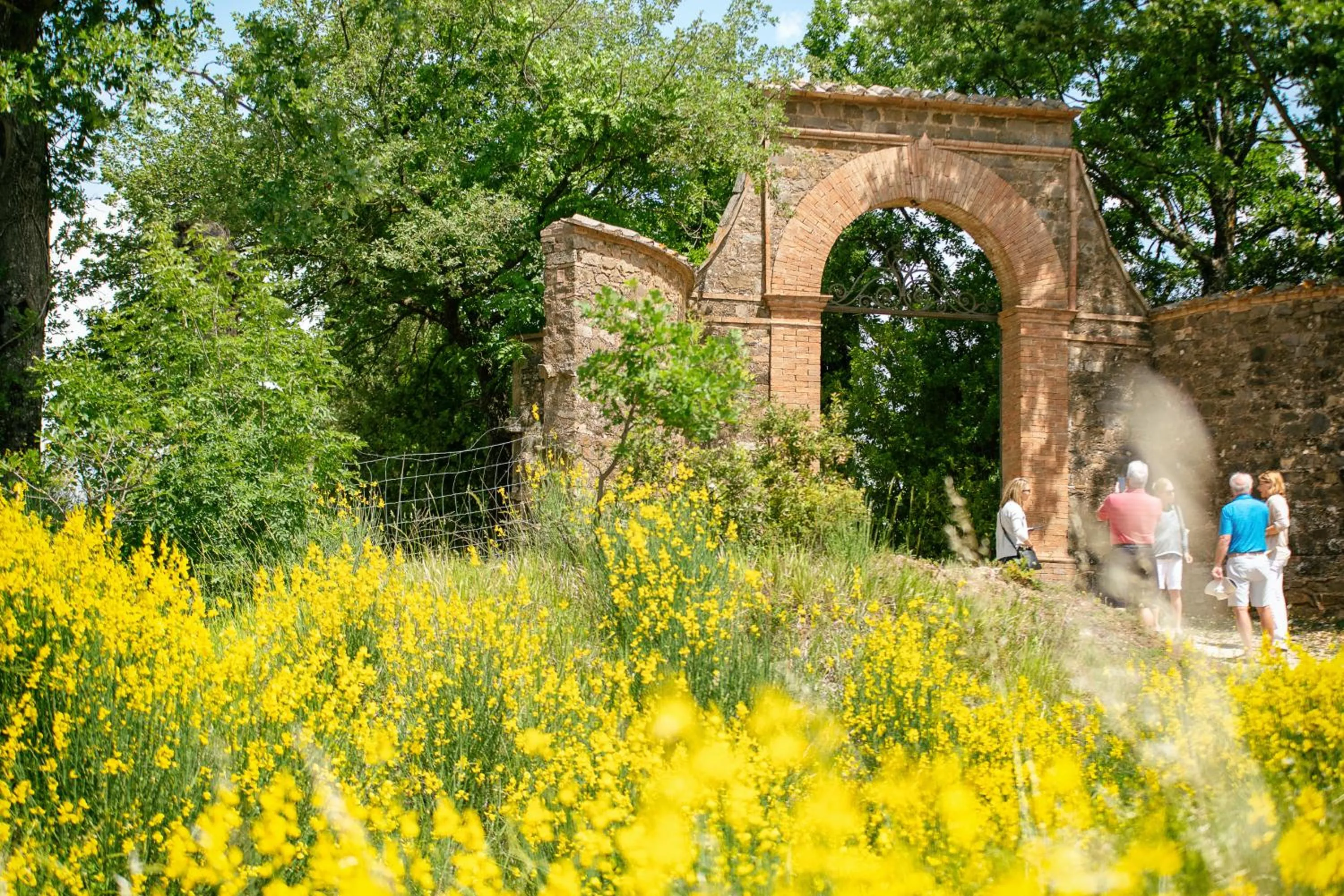 Garden in Villa Le Prata - Residenza del Vescovo - Cantina & Relais