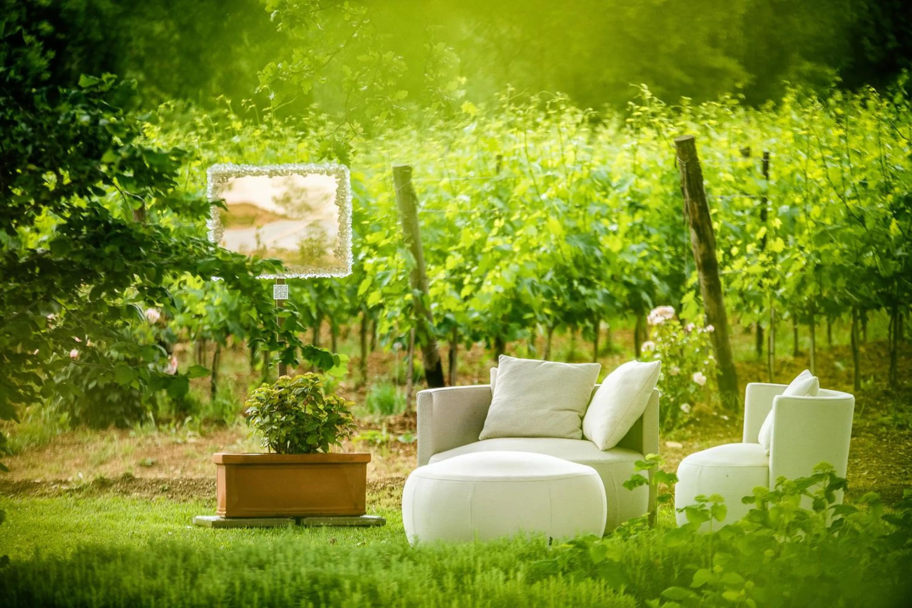 Garden in Villa Le Prata - Residenza del Vescovo - Cantina & Relais