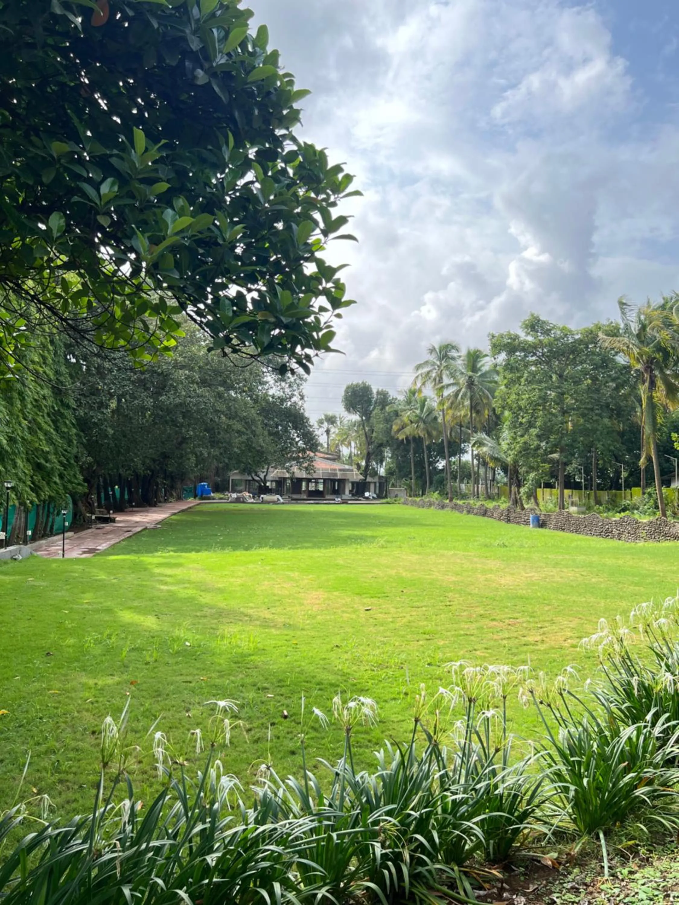 Natural landscape in Avhyay Resort