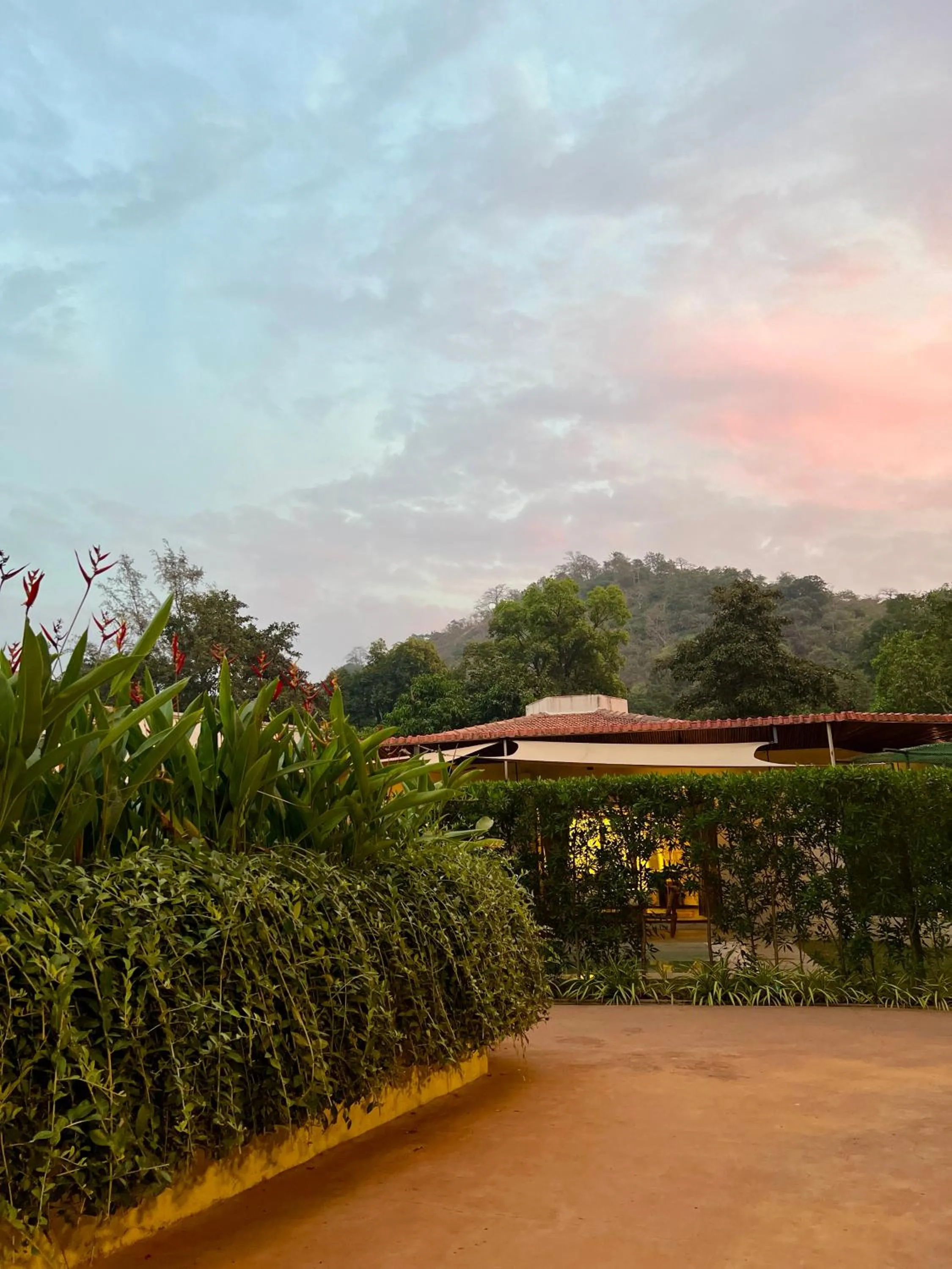 Area and facilities in Avhyay Resort