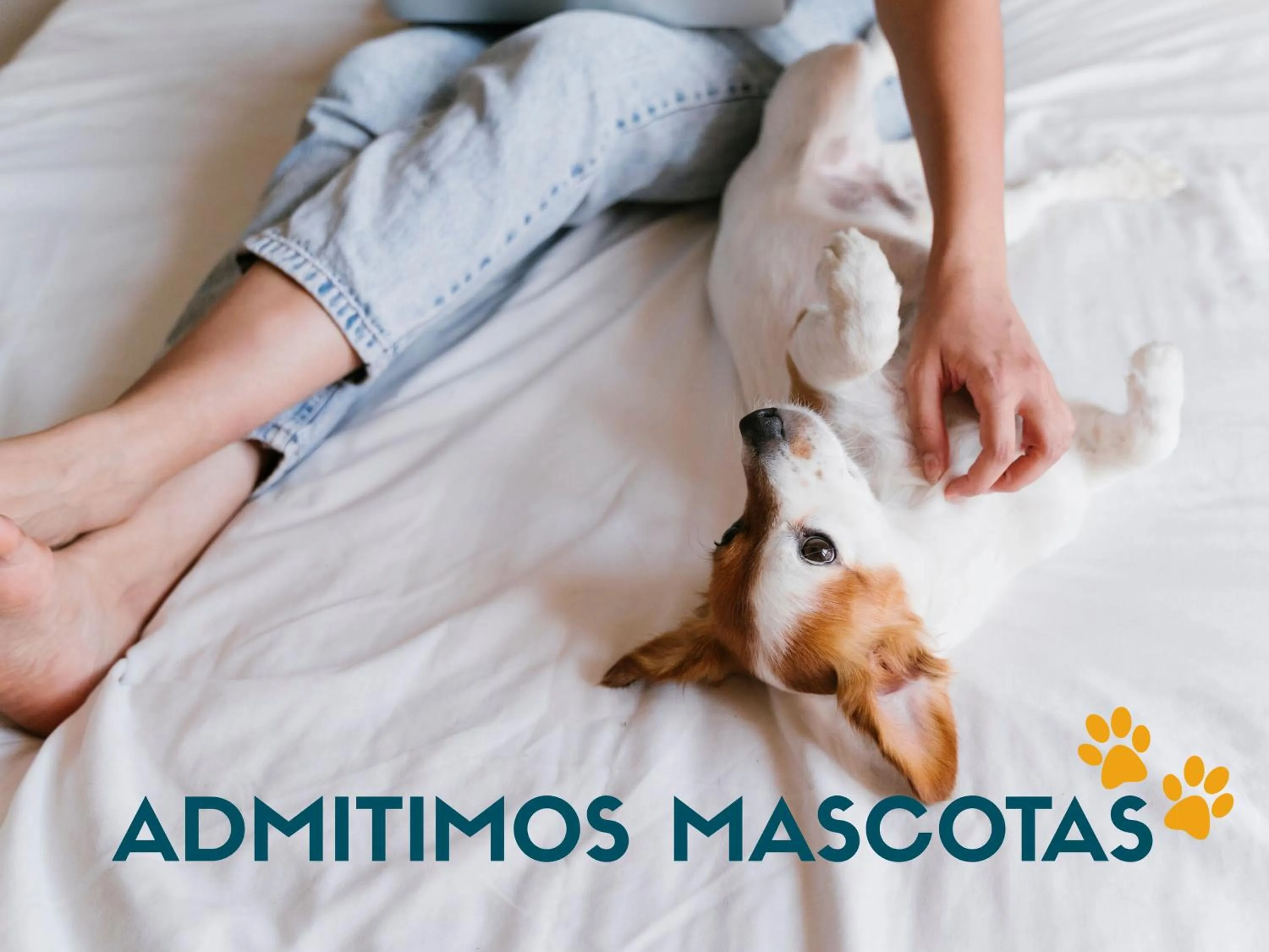Pets in Apartamentos Voramar Peñíscola 3000
