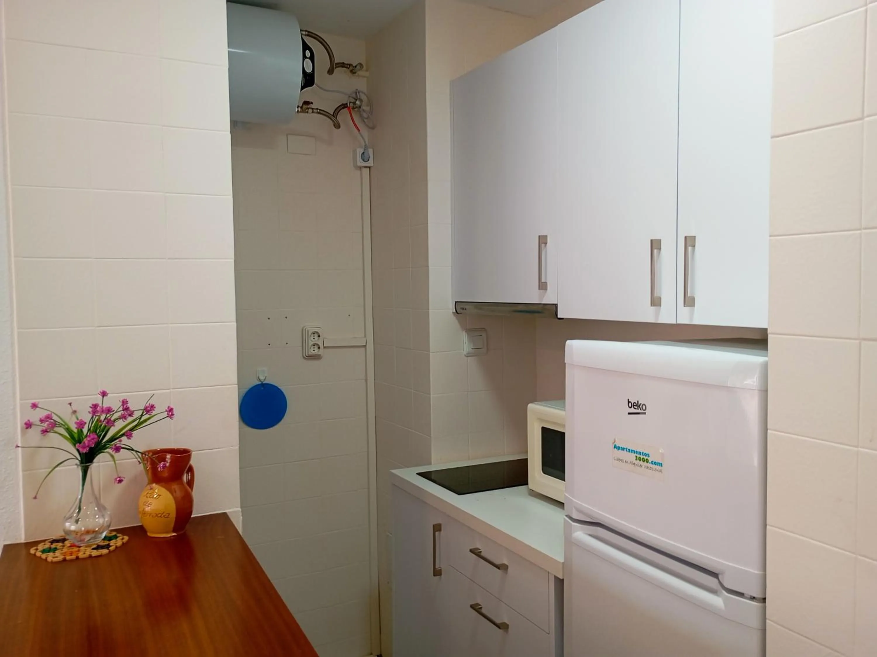 Kitchen or kitchenette in Apartamentos Voramar Peñíscola 3000