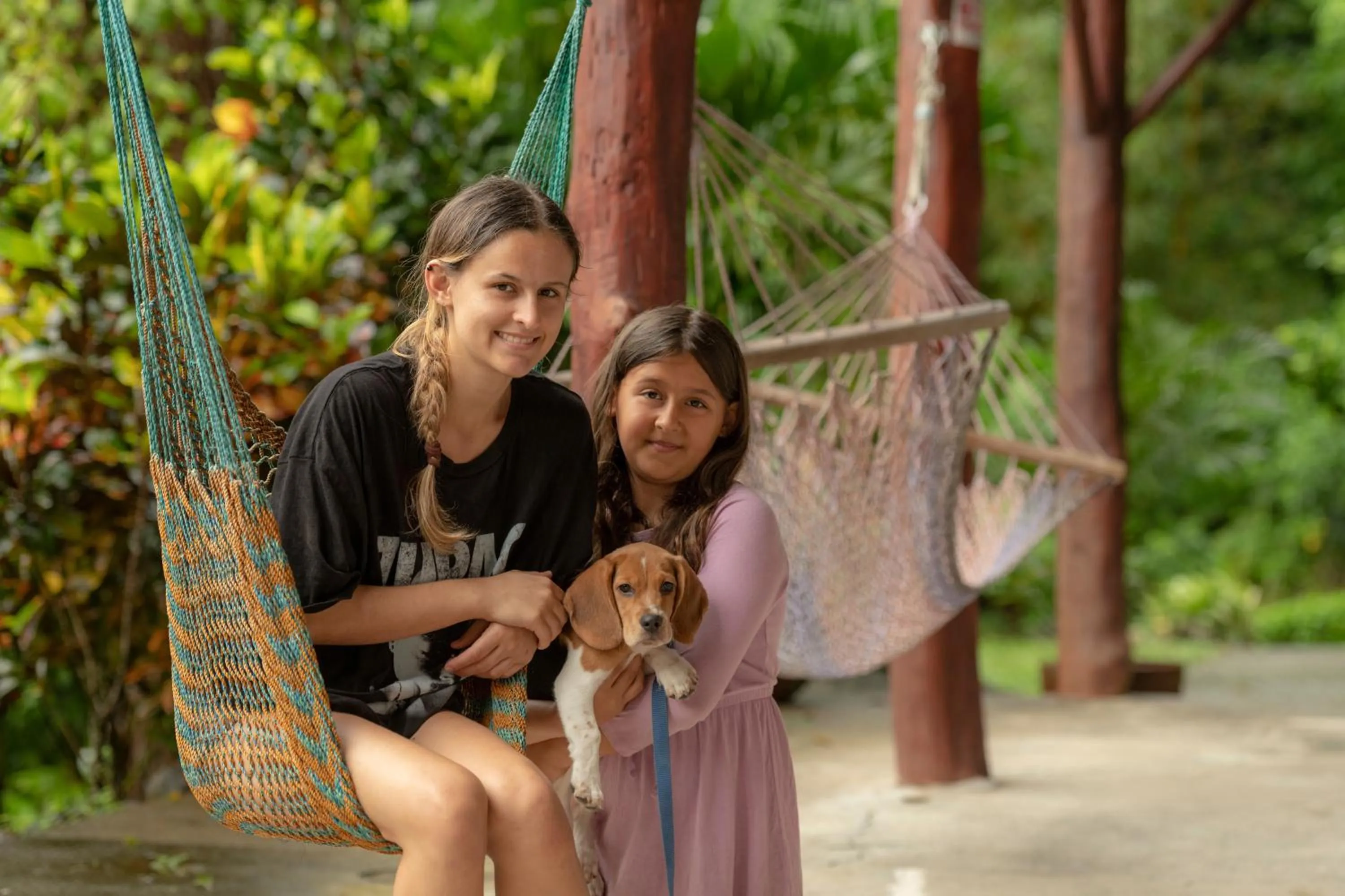 Pets in Tabulia Tree Hotel and Villas