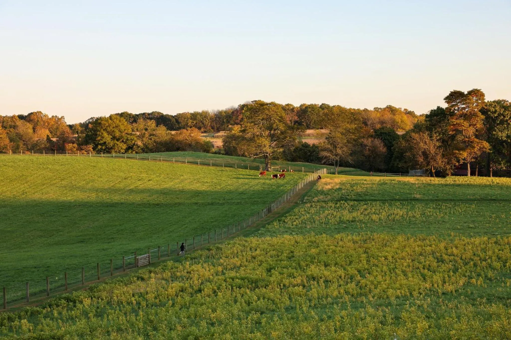 Nearby landmark in Hotel Indigo West Chester - Downtown by IHG