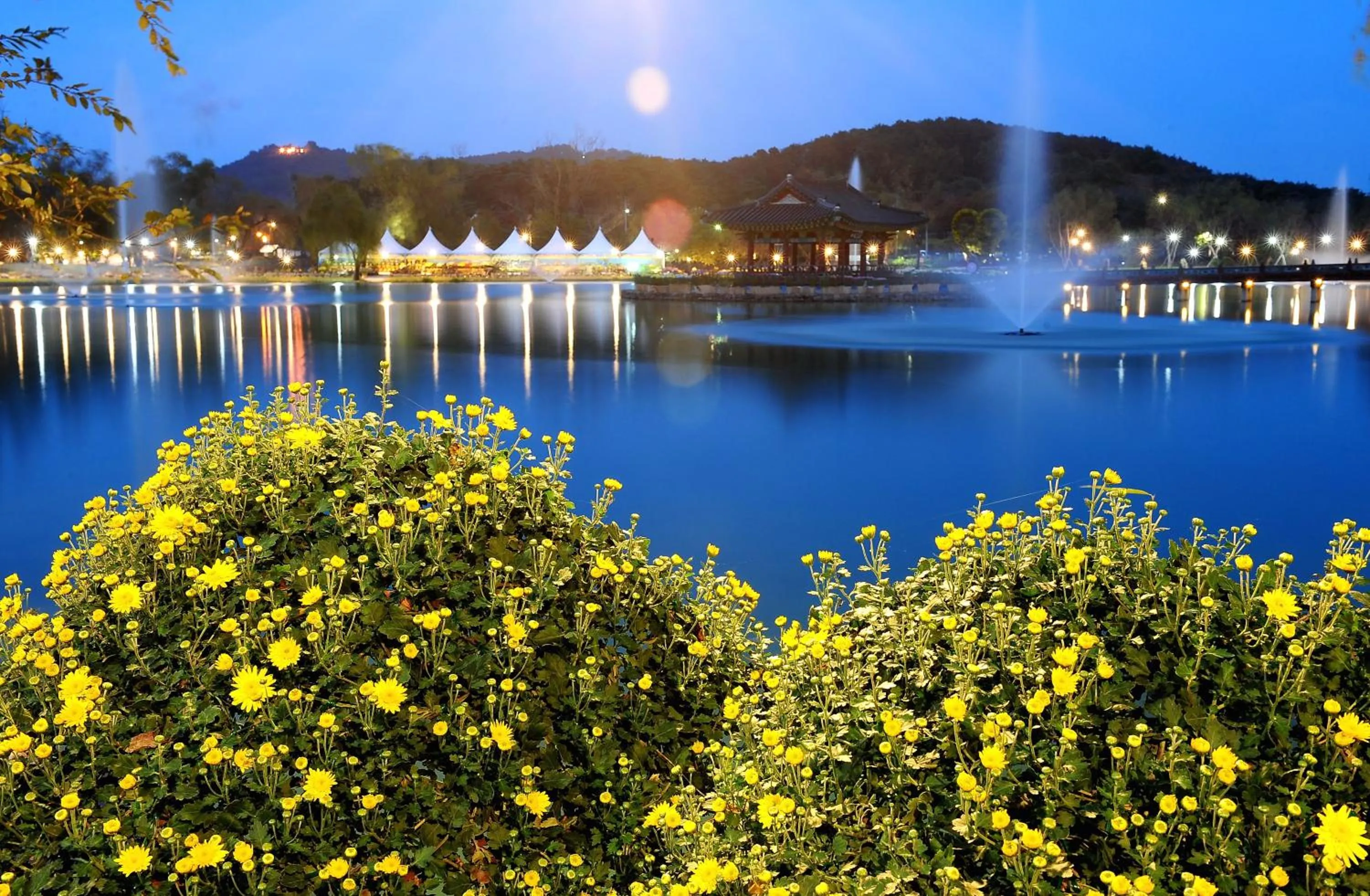 Area and facilities in Lotte Buyeo Resort