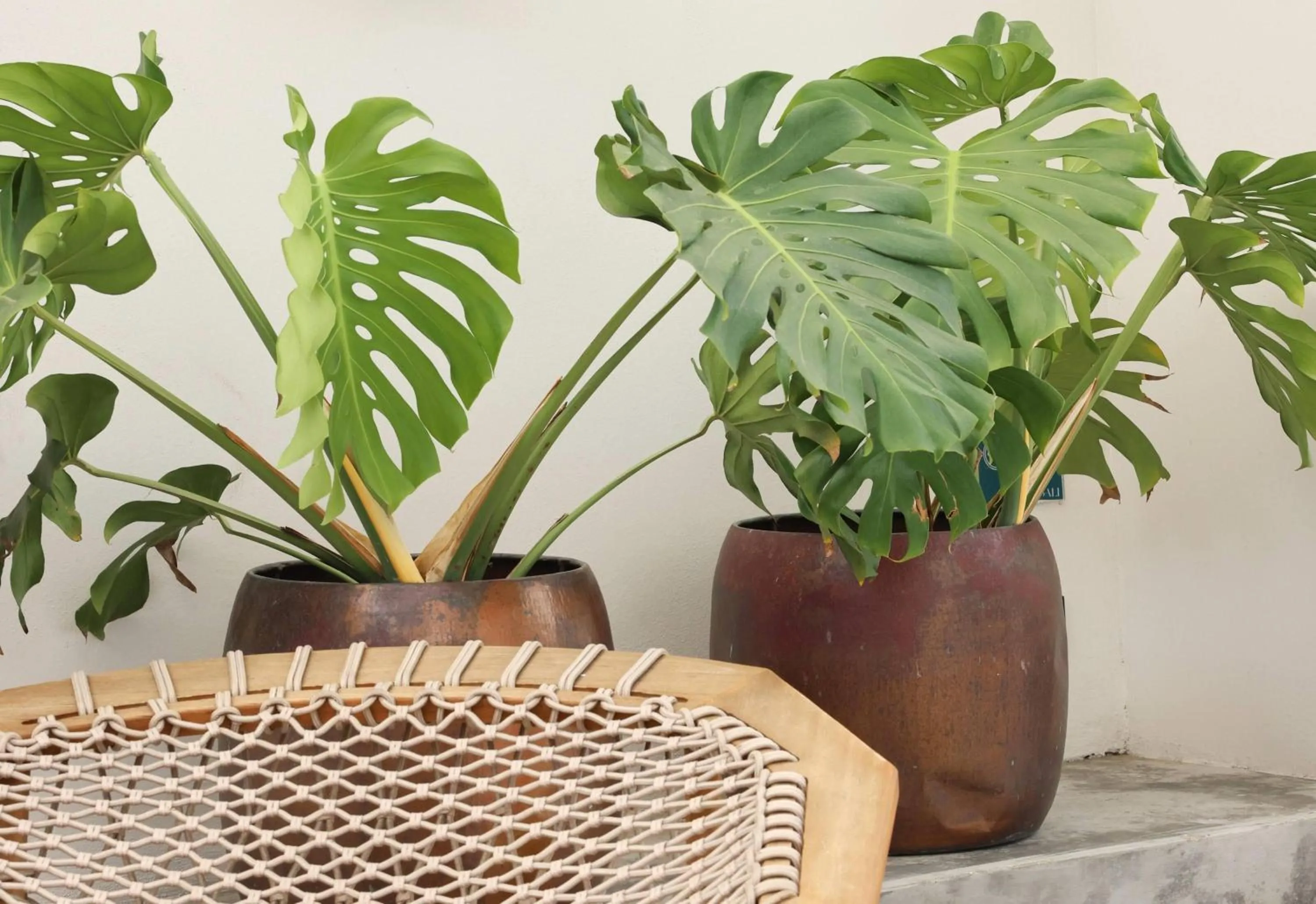 Other in Bali Hotel Adults Only Isla Verde, a Trademark by Wyndham