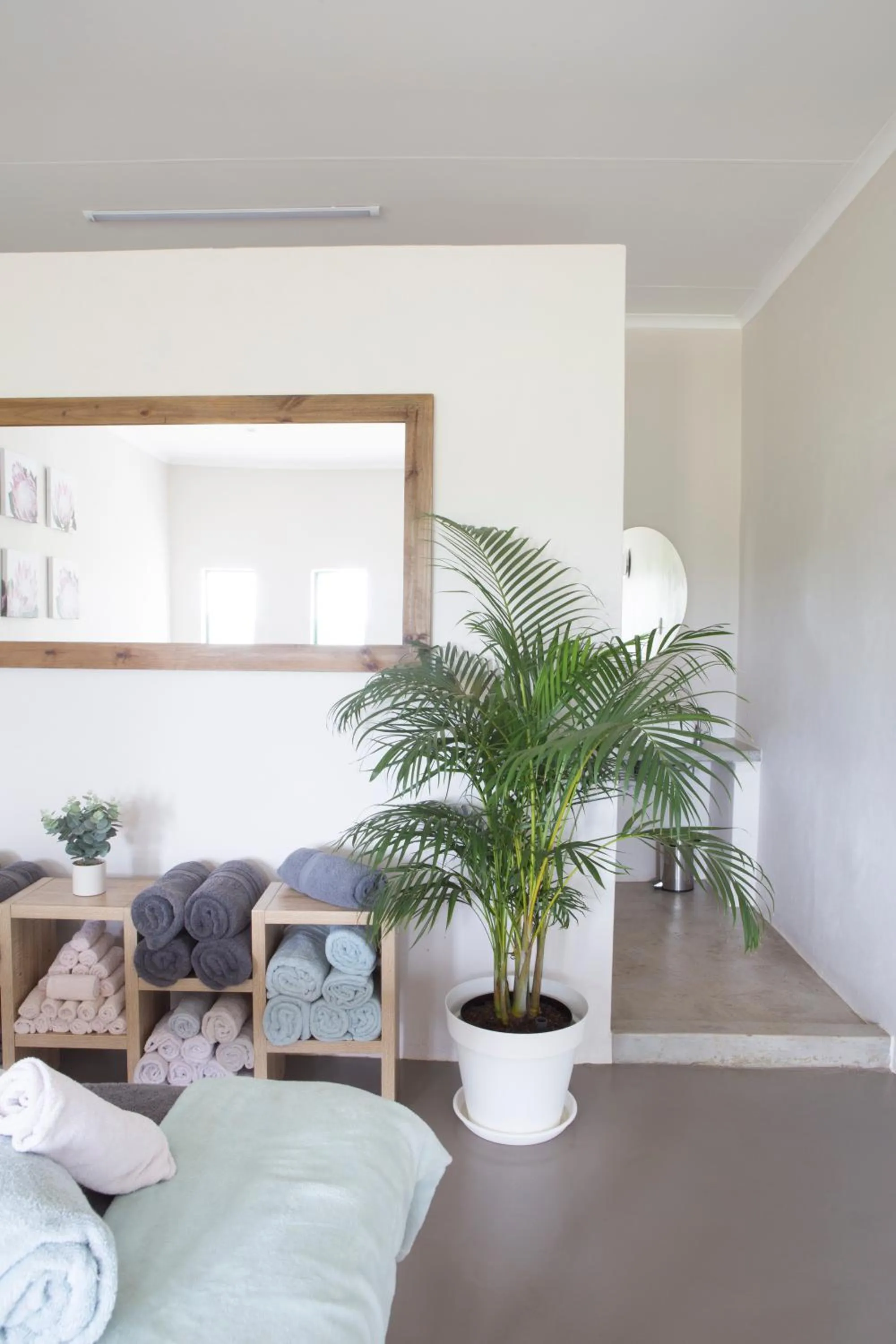 Spa and wellness centre/facilities in Zebra Nature Reserve