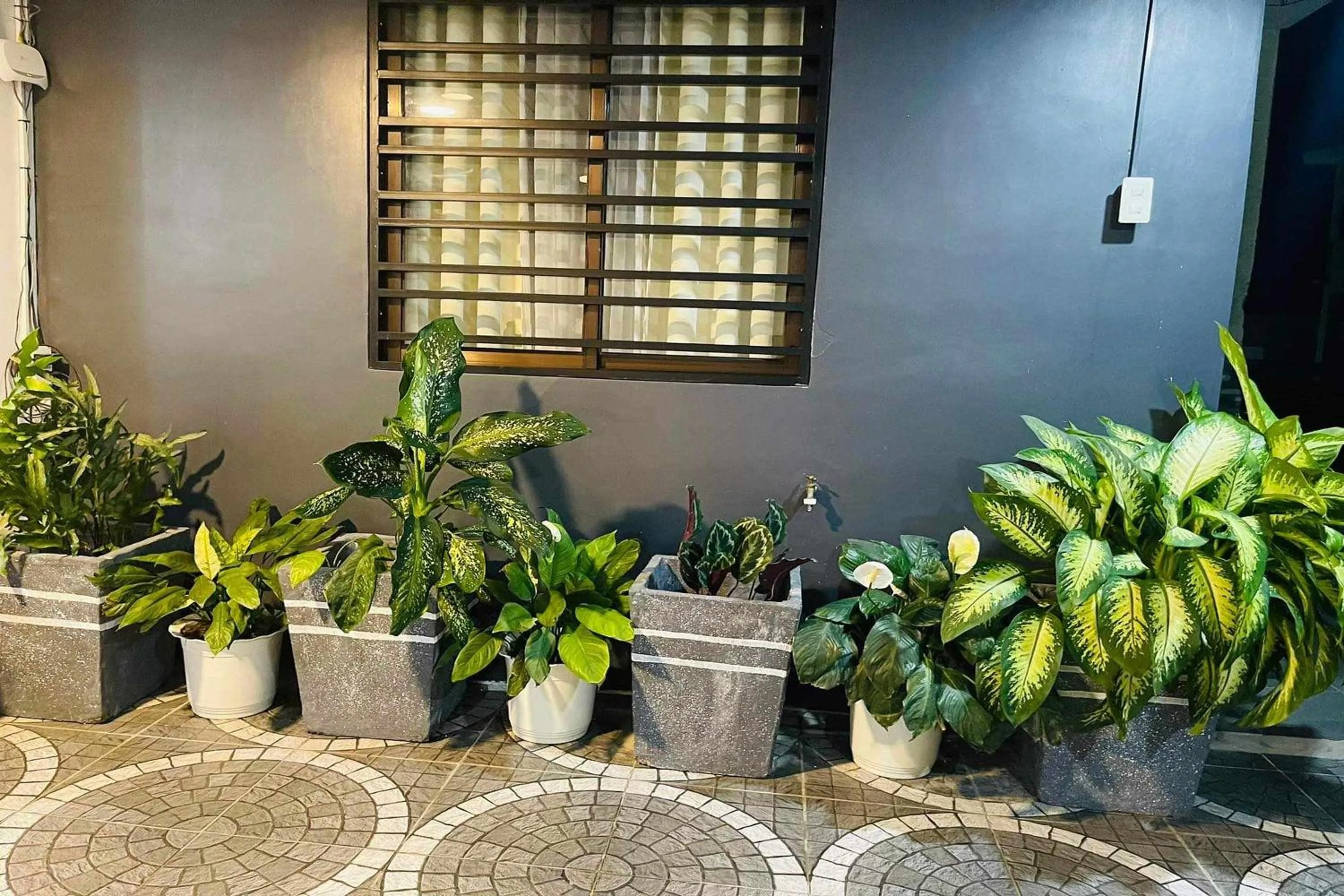 Garden in Shiella's Staycation House Cabanatuan