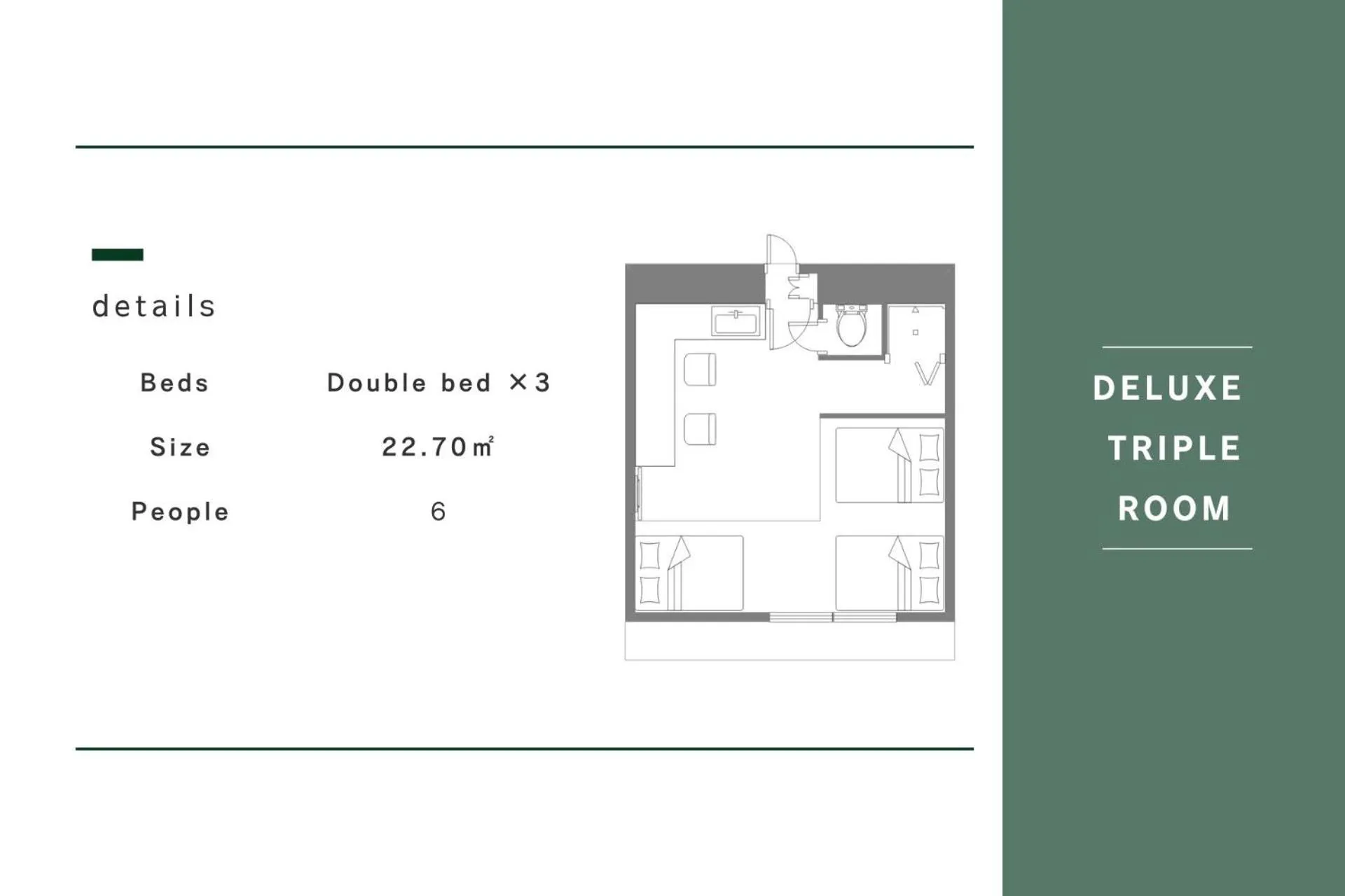 Photo of the whole room in Hotel Akasaka Heights