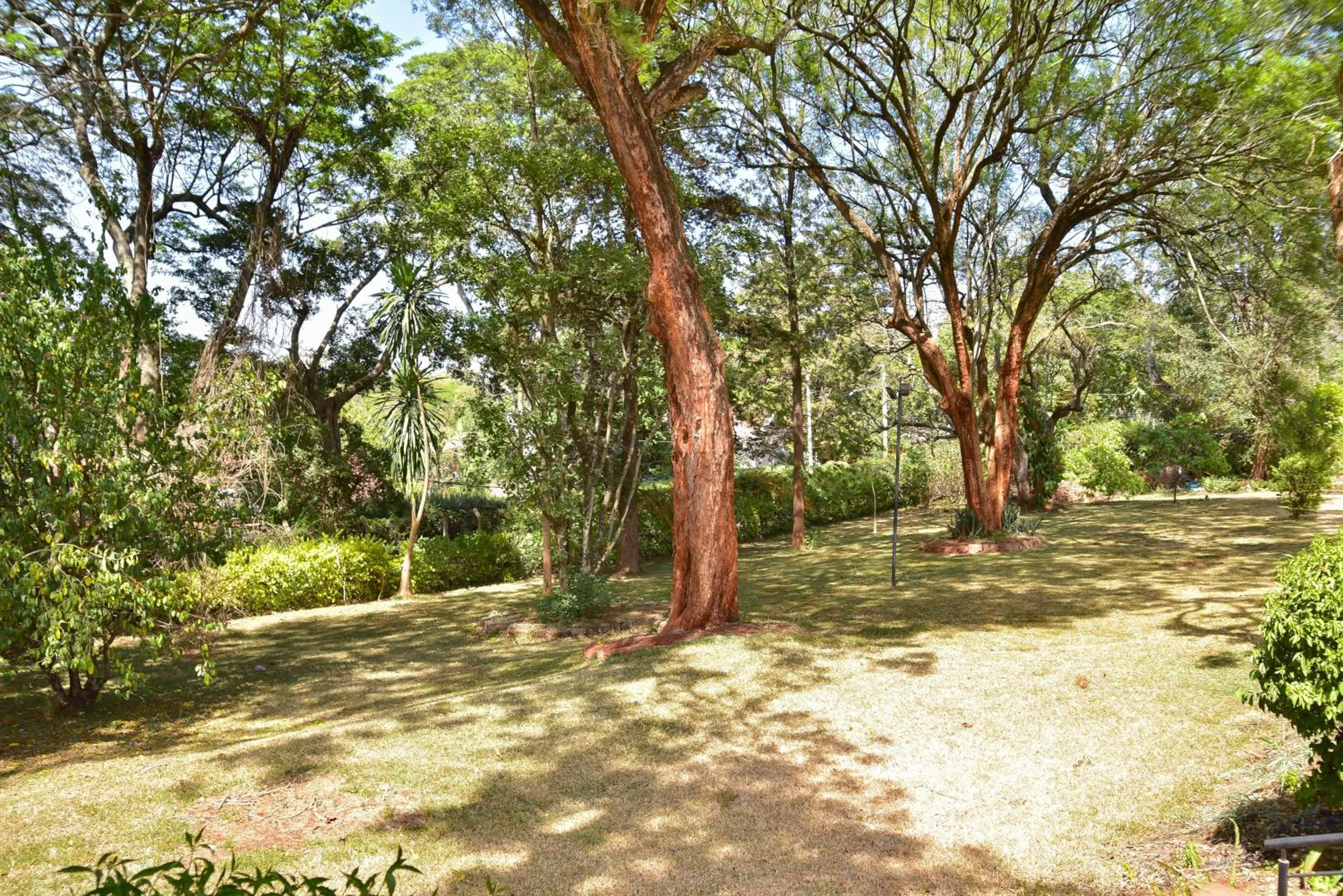 Garden in Kongoni House