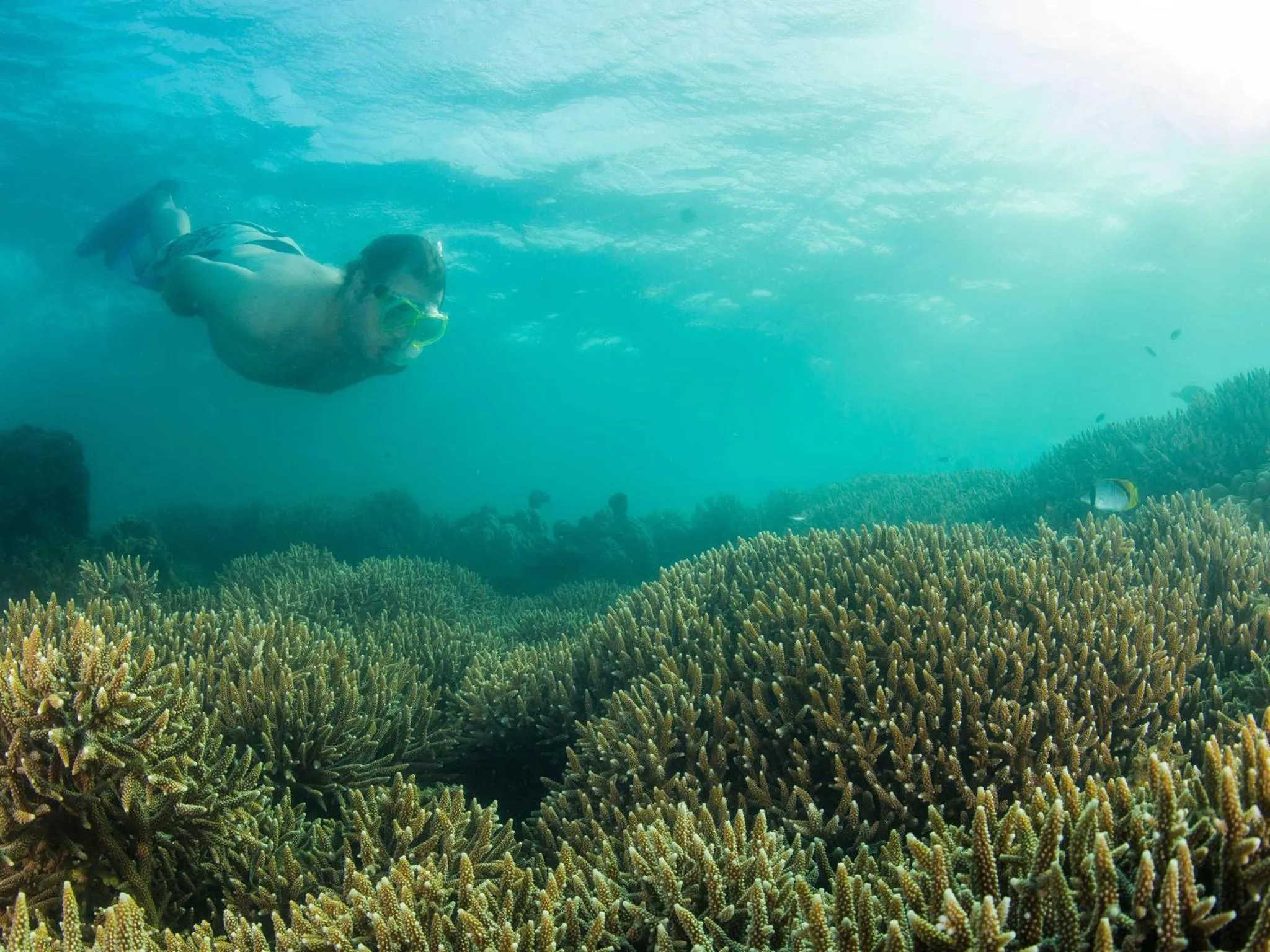 Snorkeling in Machangulo Beach Lodge