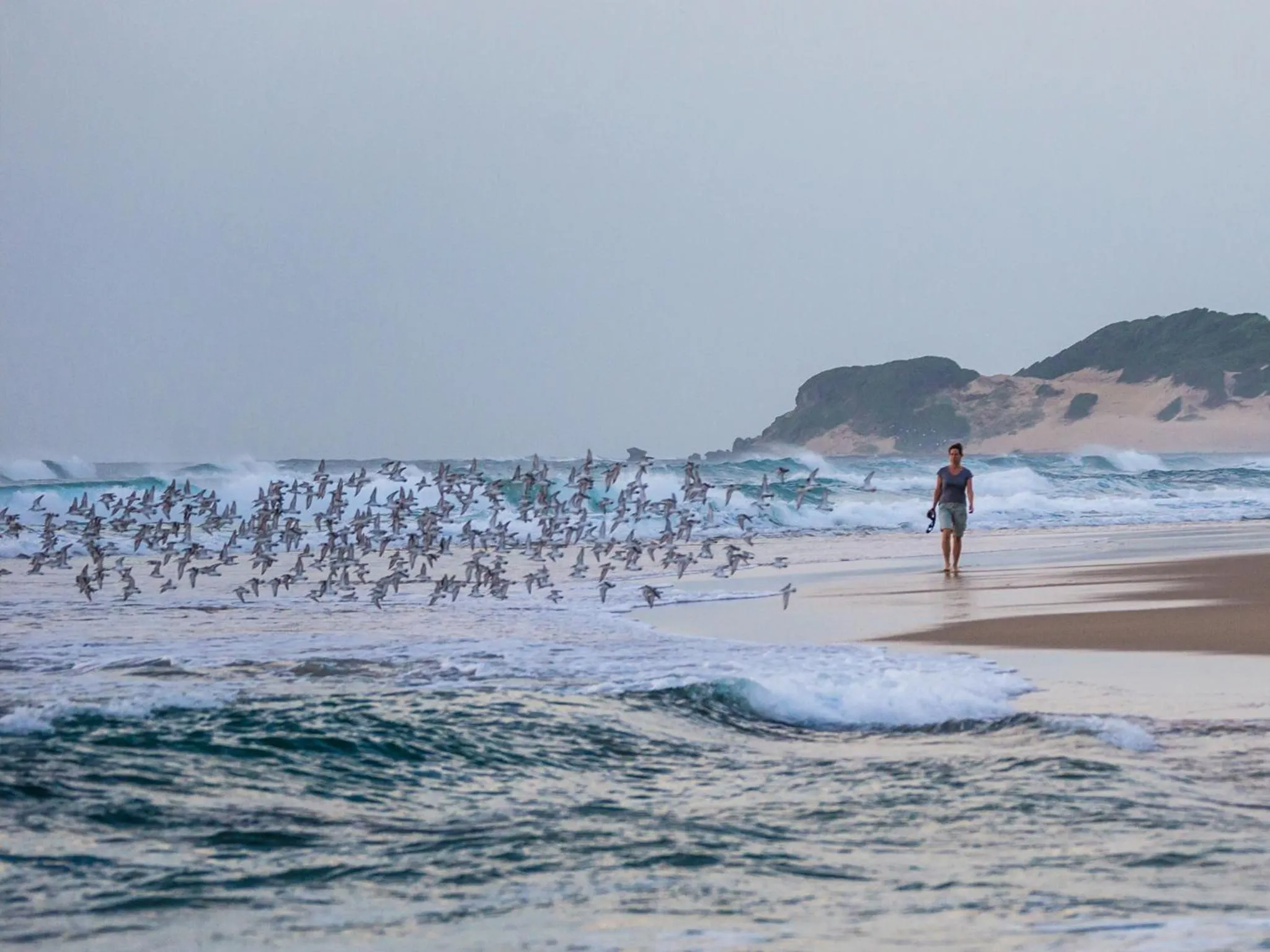 Beach in Machangulo Beach Lodge