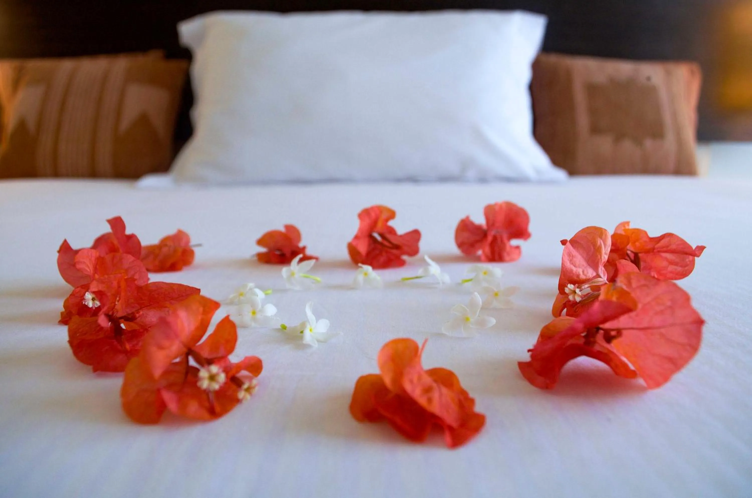 Bed in Villa Karingal