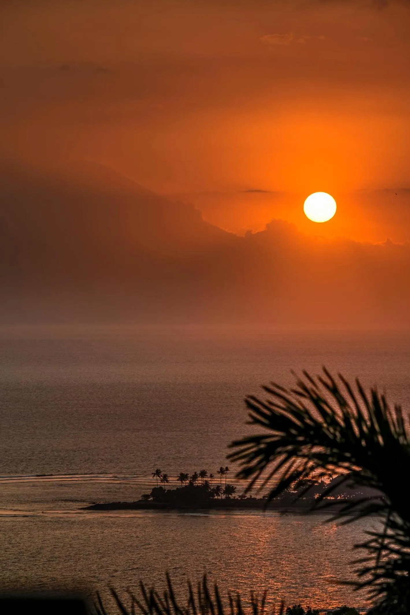 Natural landscape in Villa Karingal