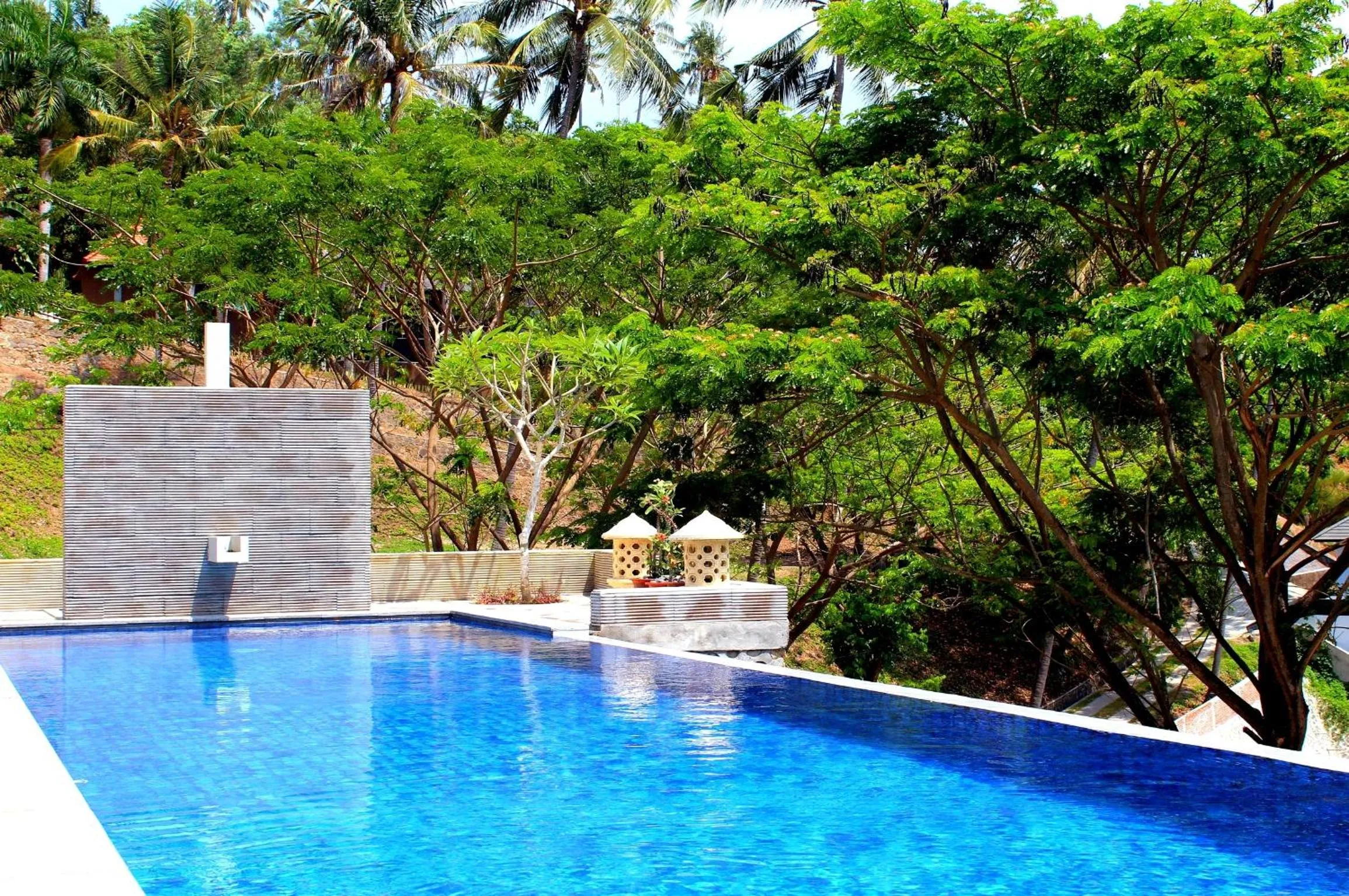 Garden view in Villa Karingal