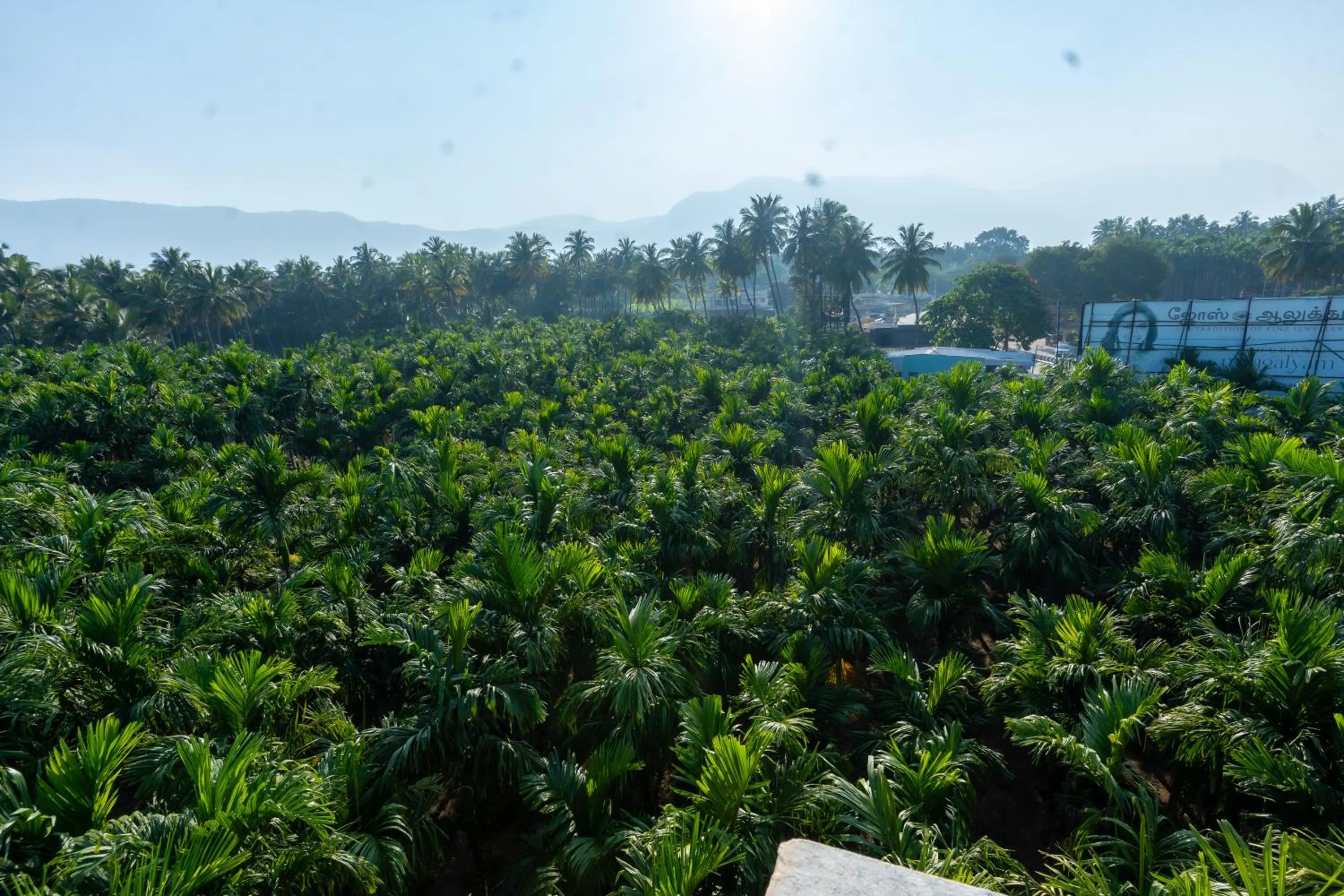 Mountain view in Aryas Residency- Near Isha Foundation Coimbatore & Karunya University