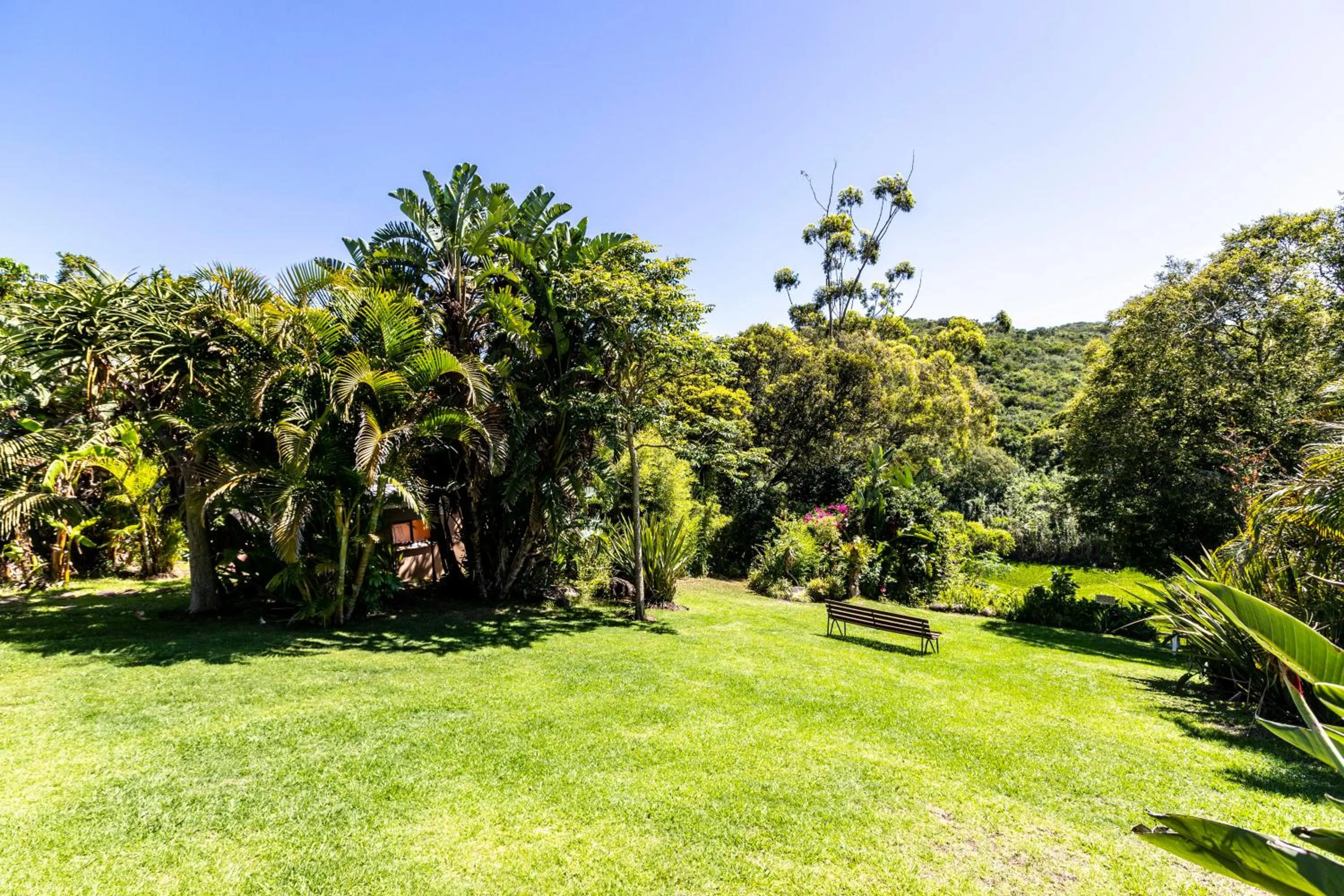 Garden in Fish Eagle Manor