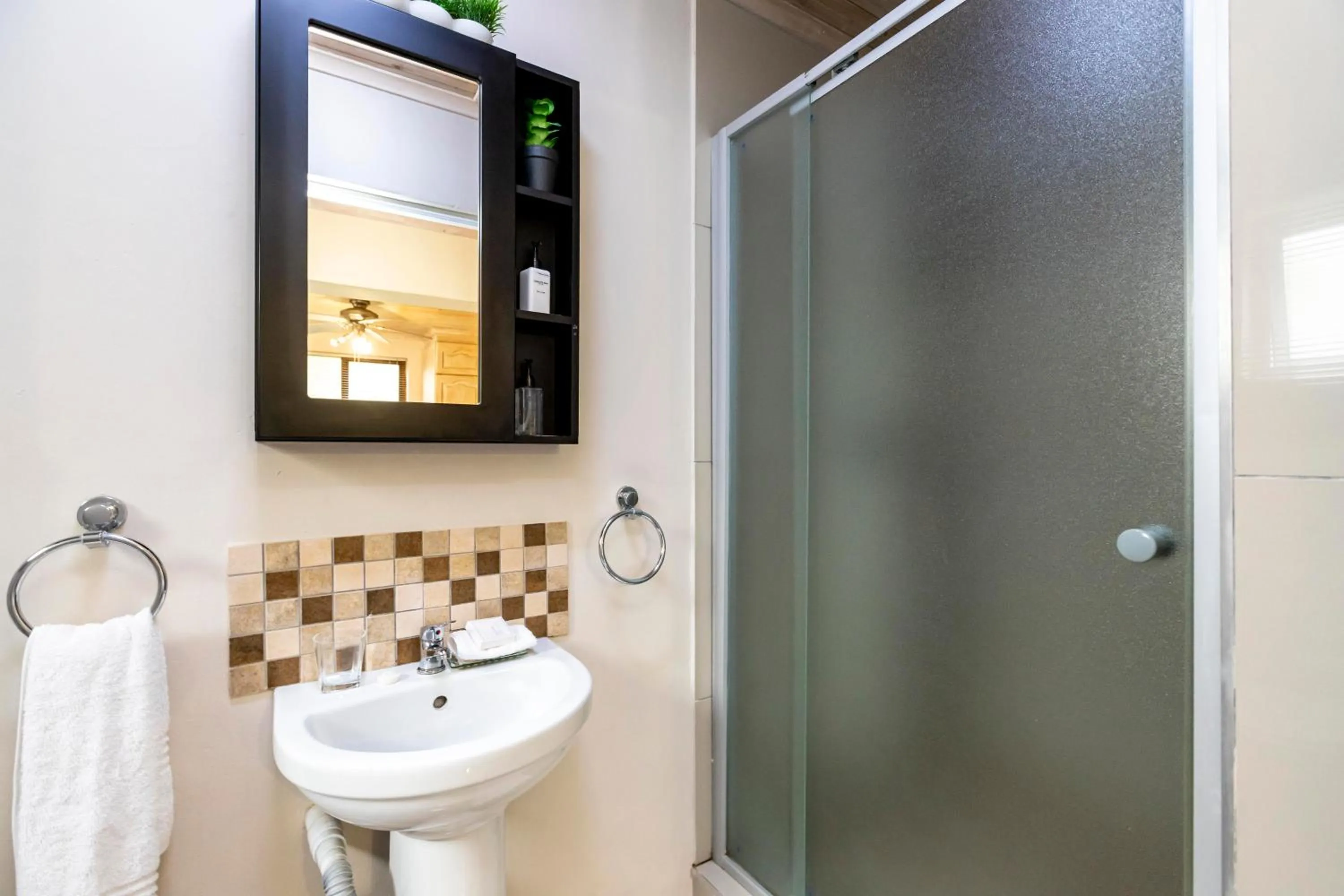 Shower in Fish Eagle Manor