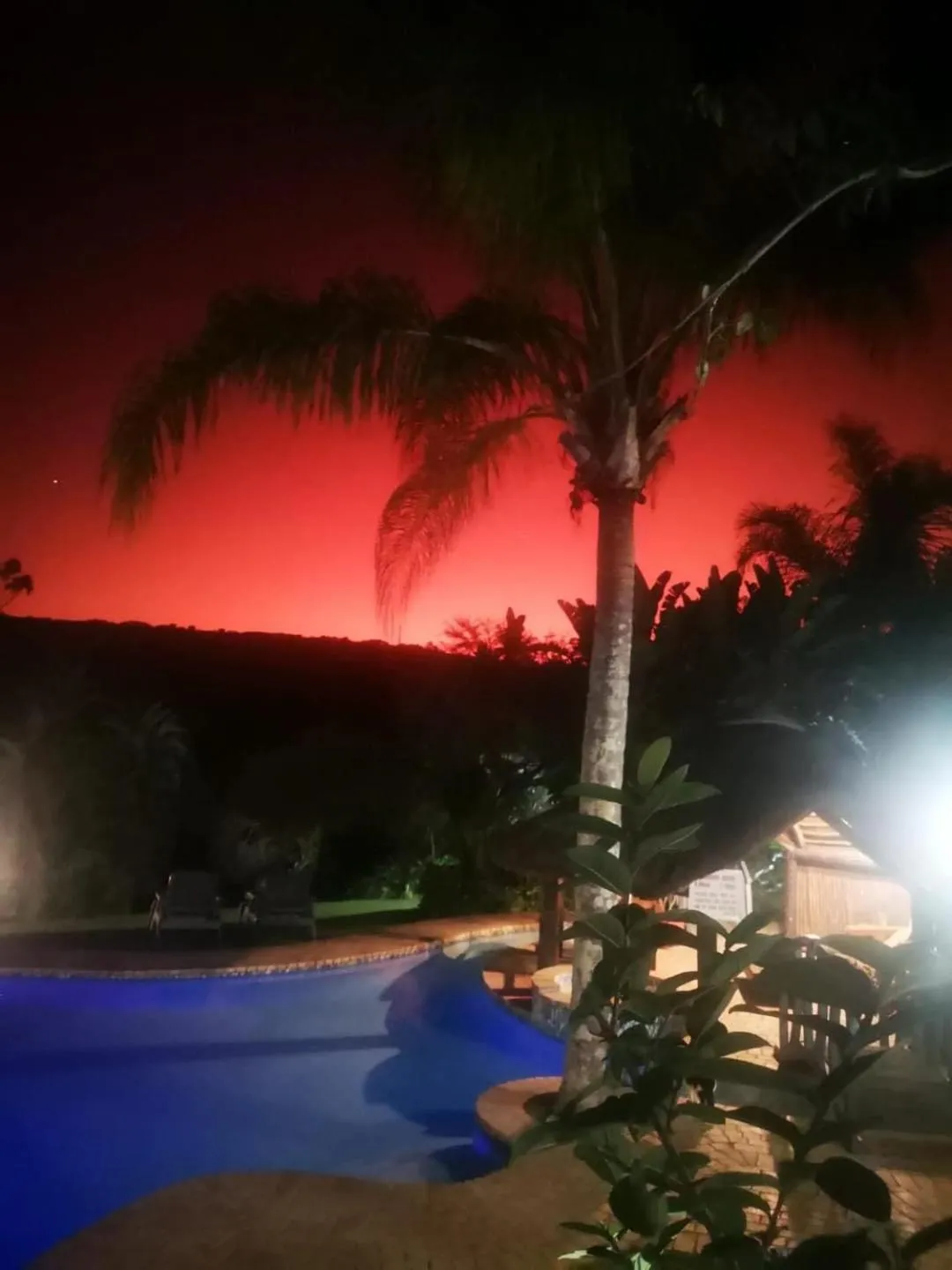 Night in Fish Eagle Manor