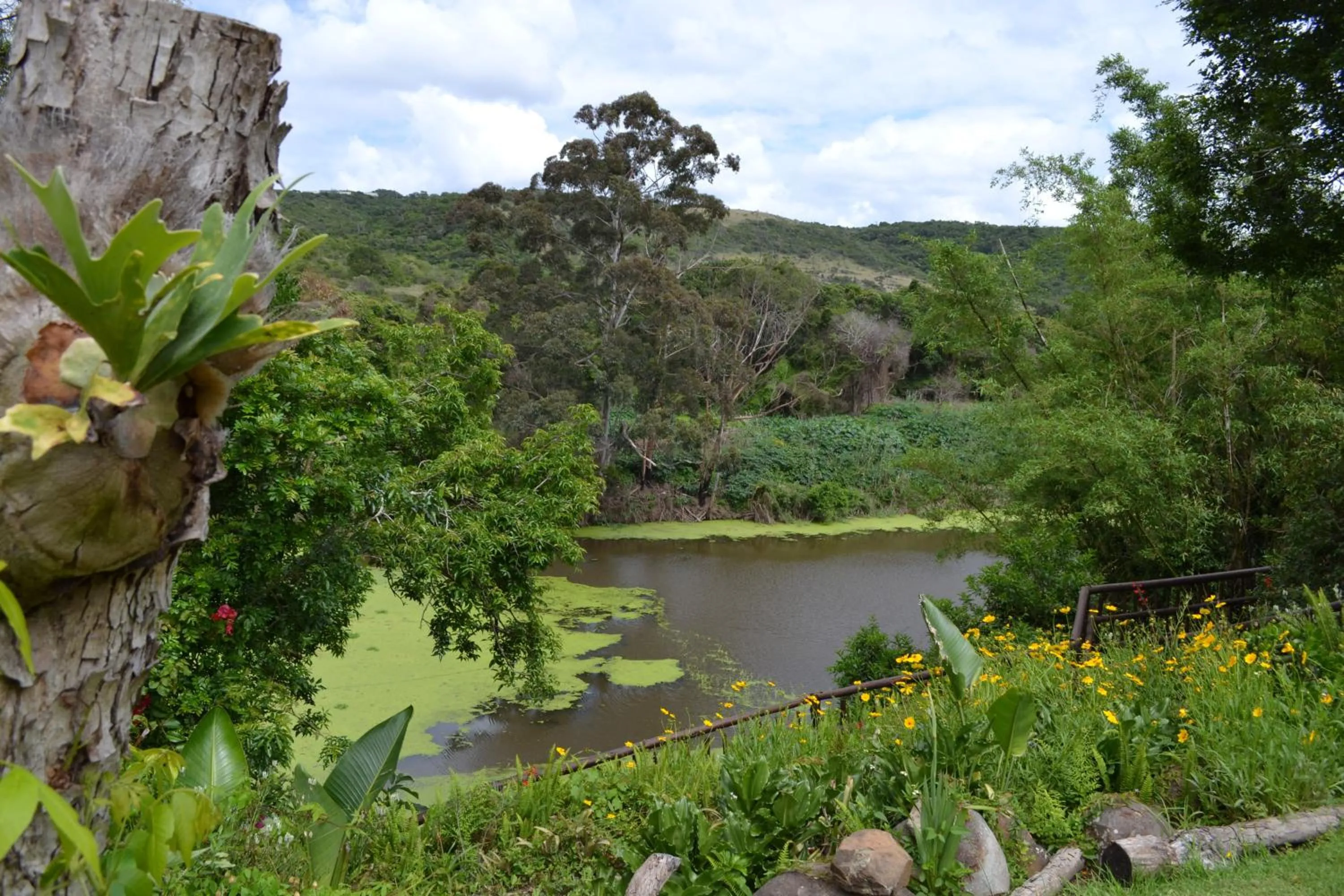 Fishing in Fish Eagle Manor