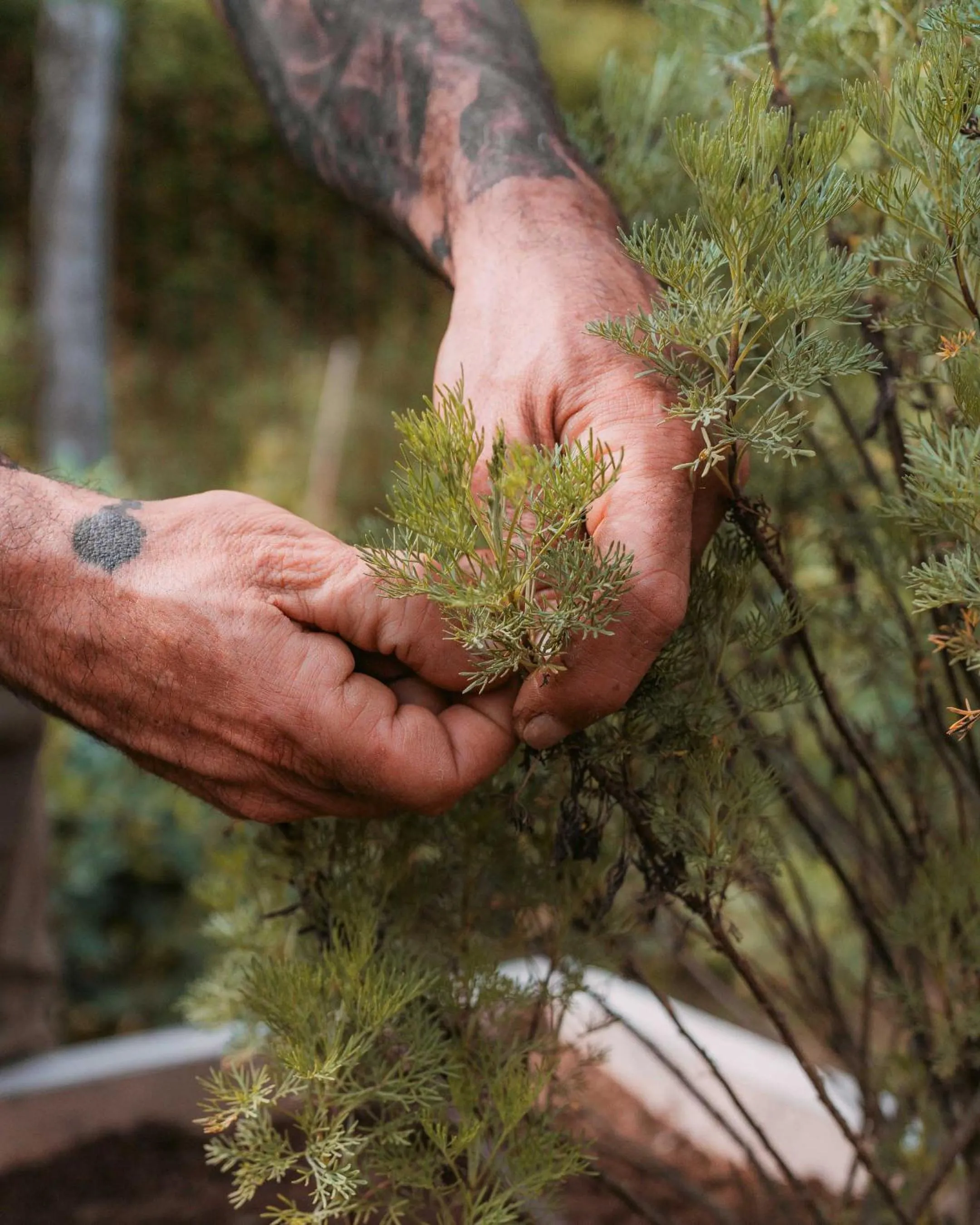Garden in La Monastica Resort & Spa
