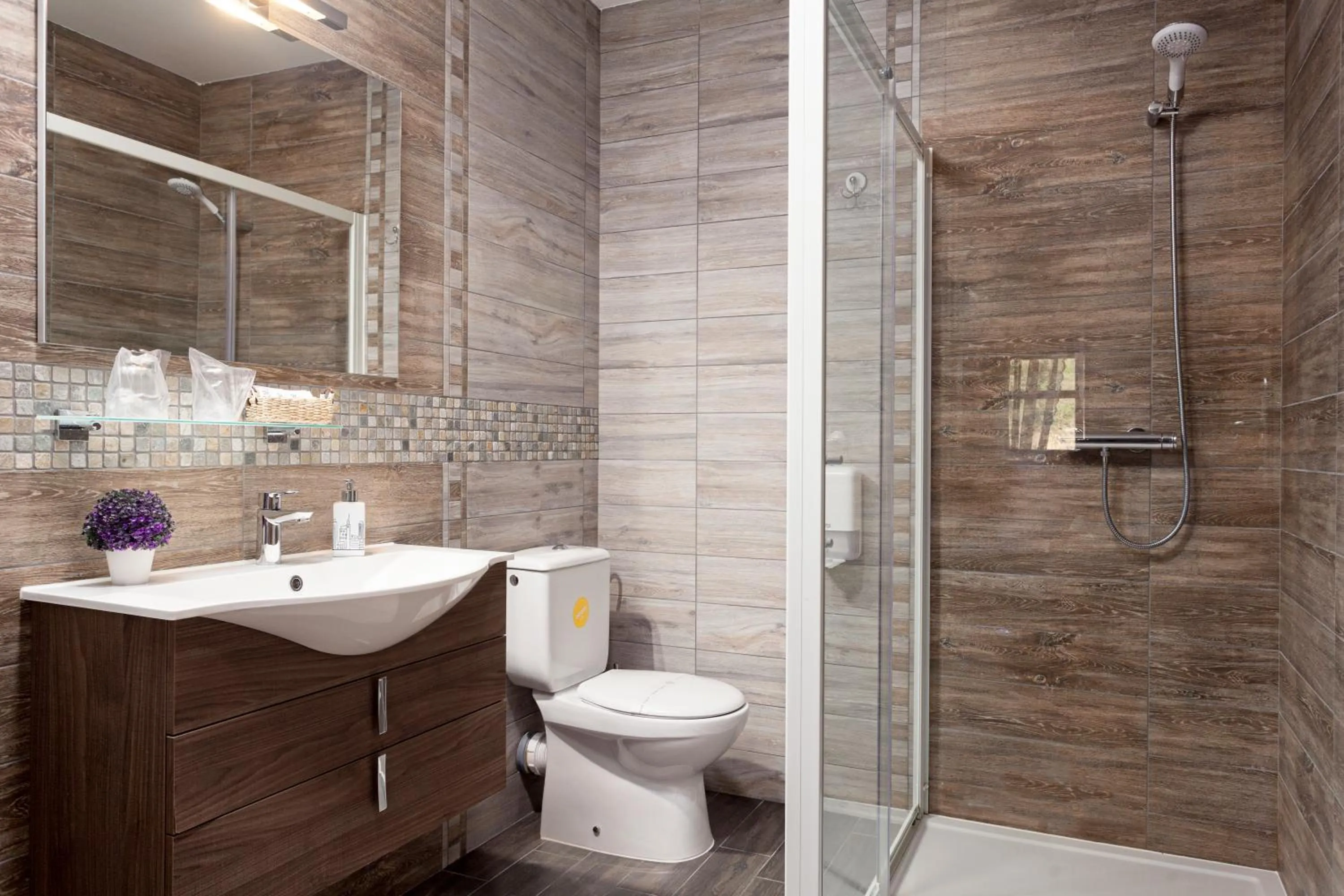 Shower in Apartmani Ivanka