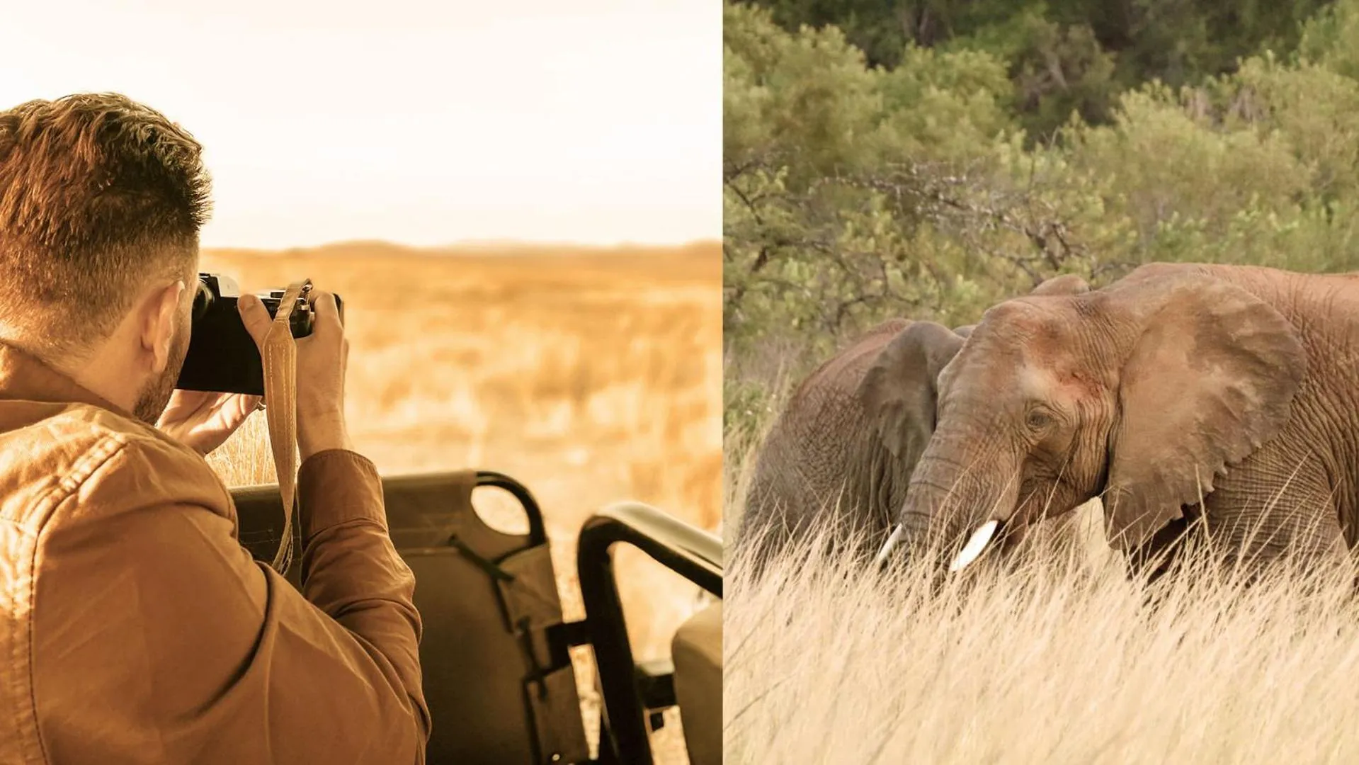 Animals in Nkomazi Game Reserve by NEWMARK