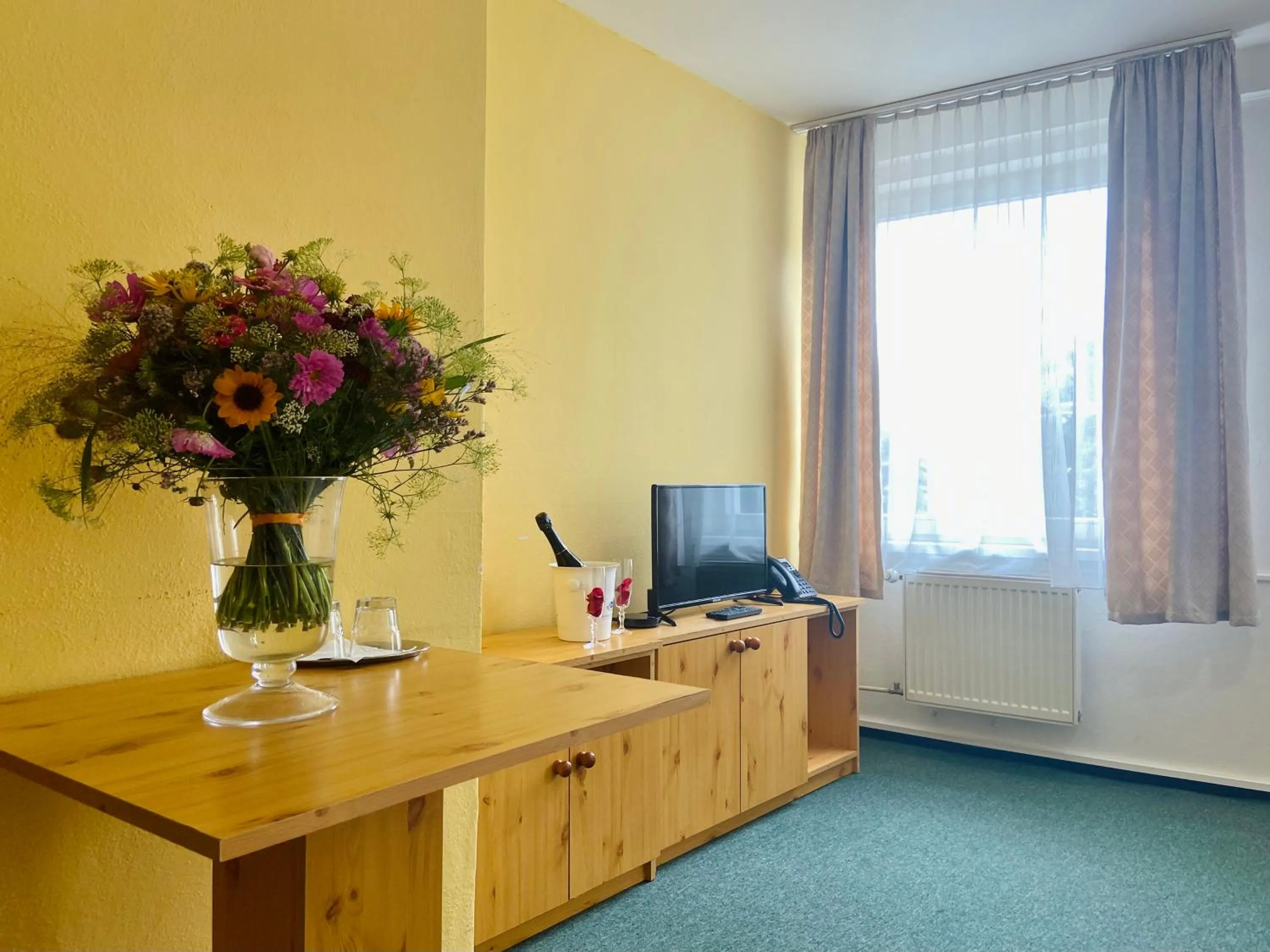 TV and multimedia in Hotel Ďumbier