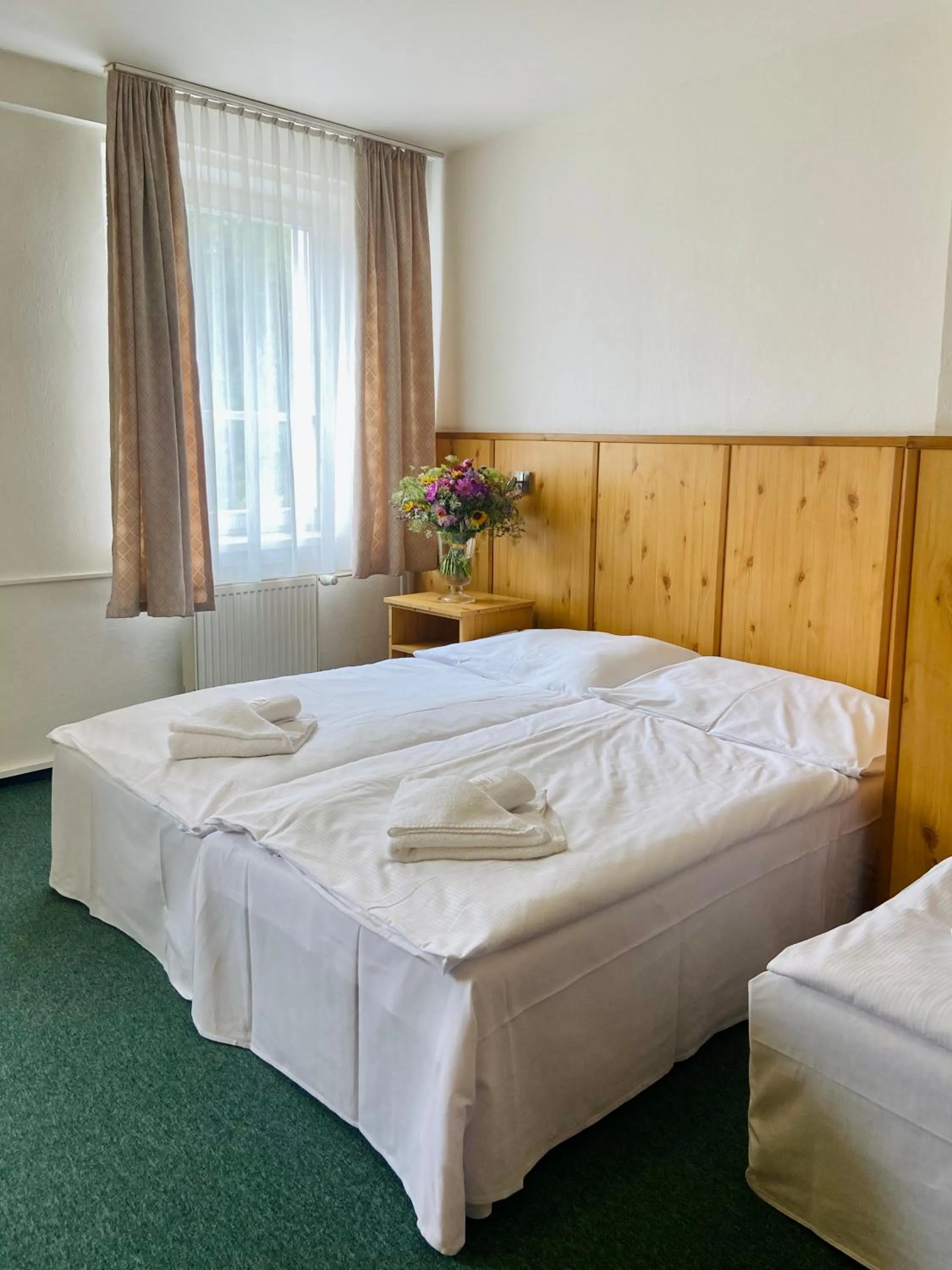 hair dresser, Bed in Hotel Ďumbier