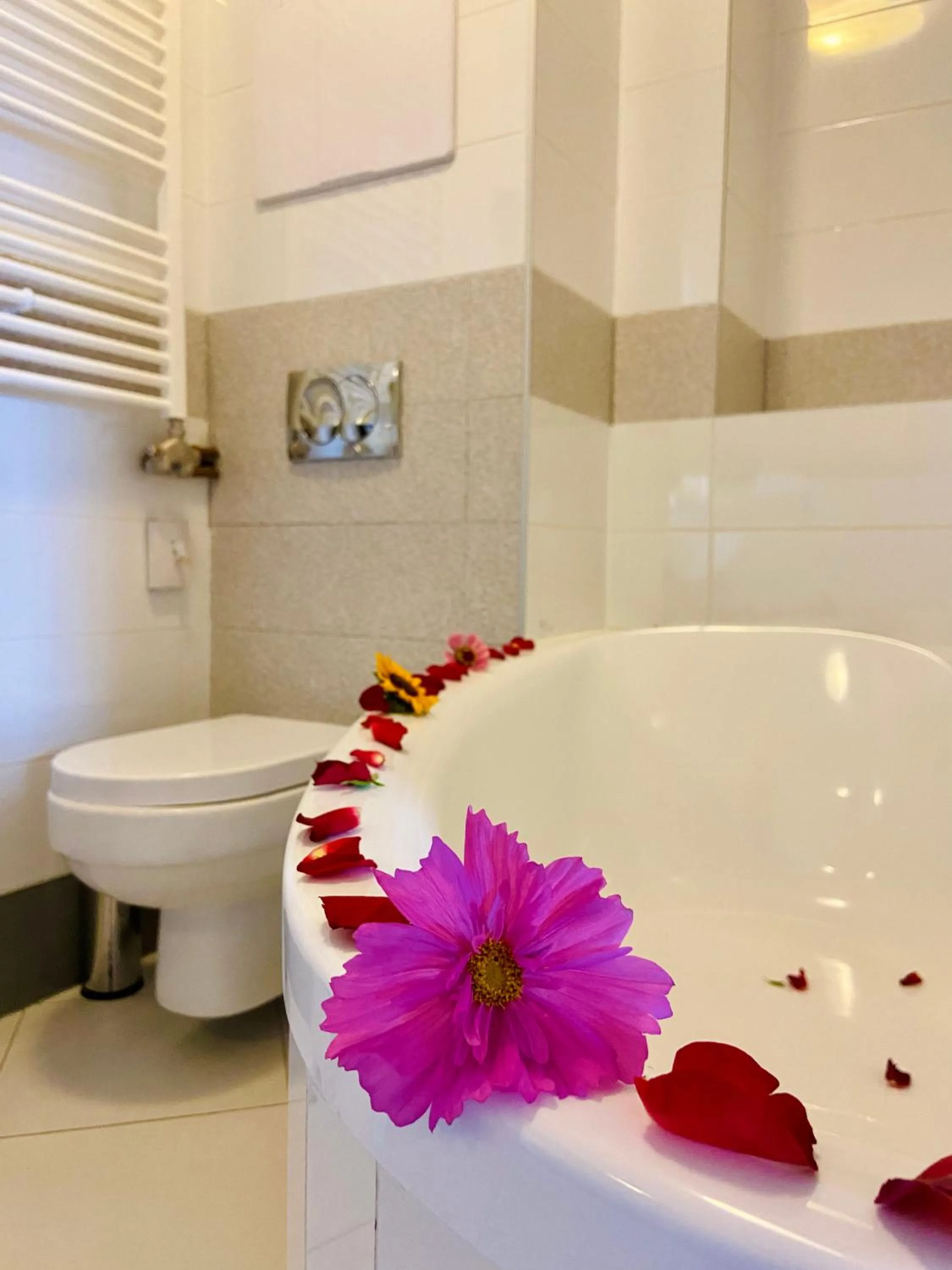 hair dresser in Hotel Ďumbier