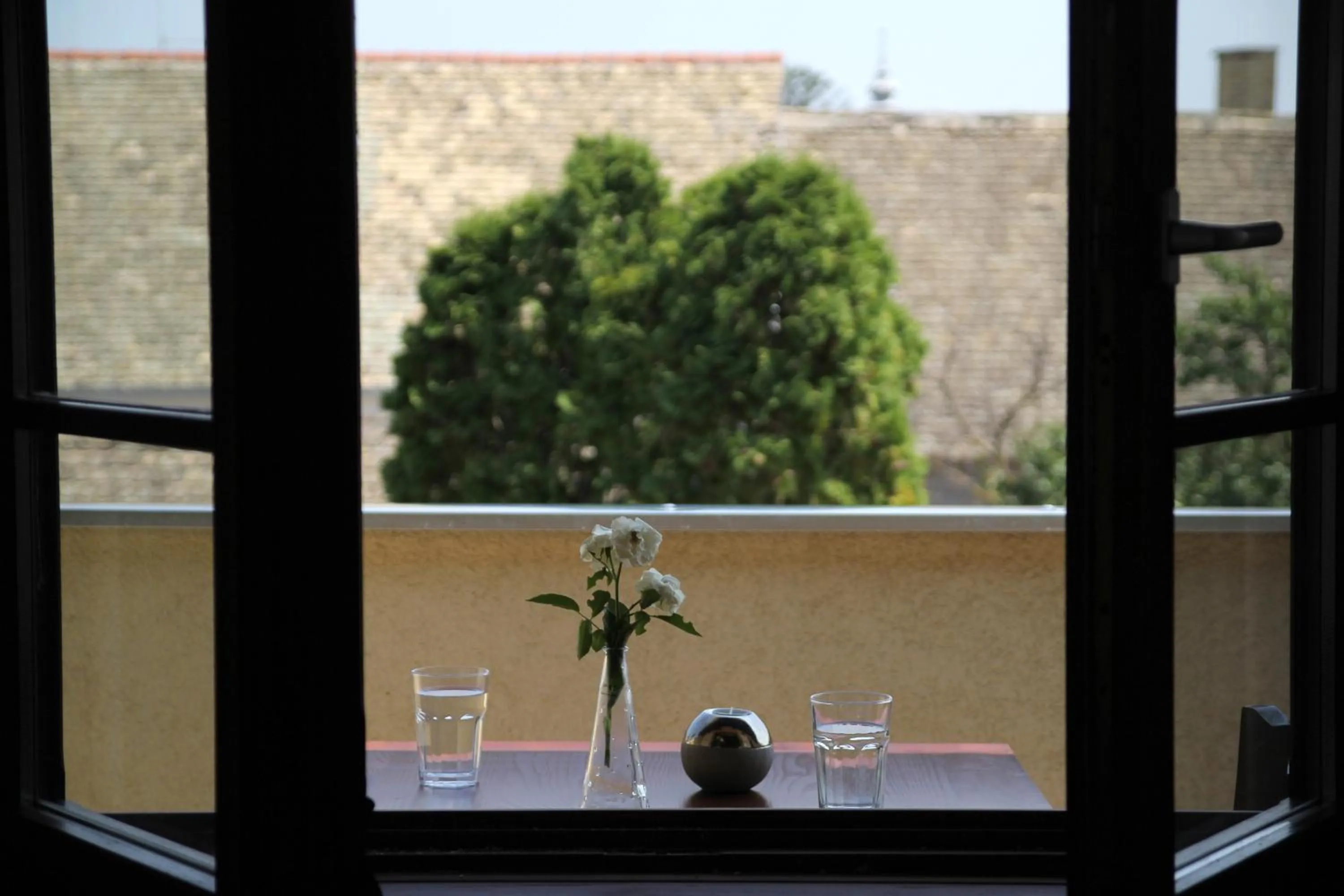 Garden view in Hotel Lug