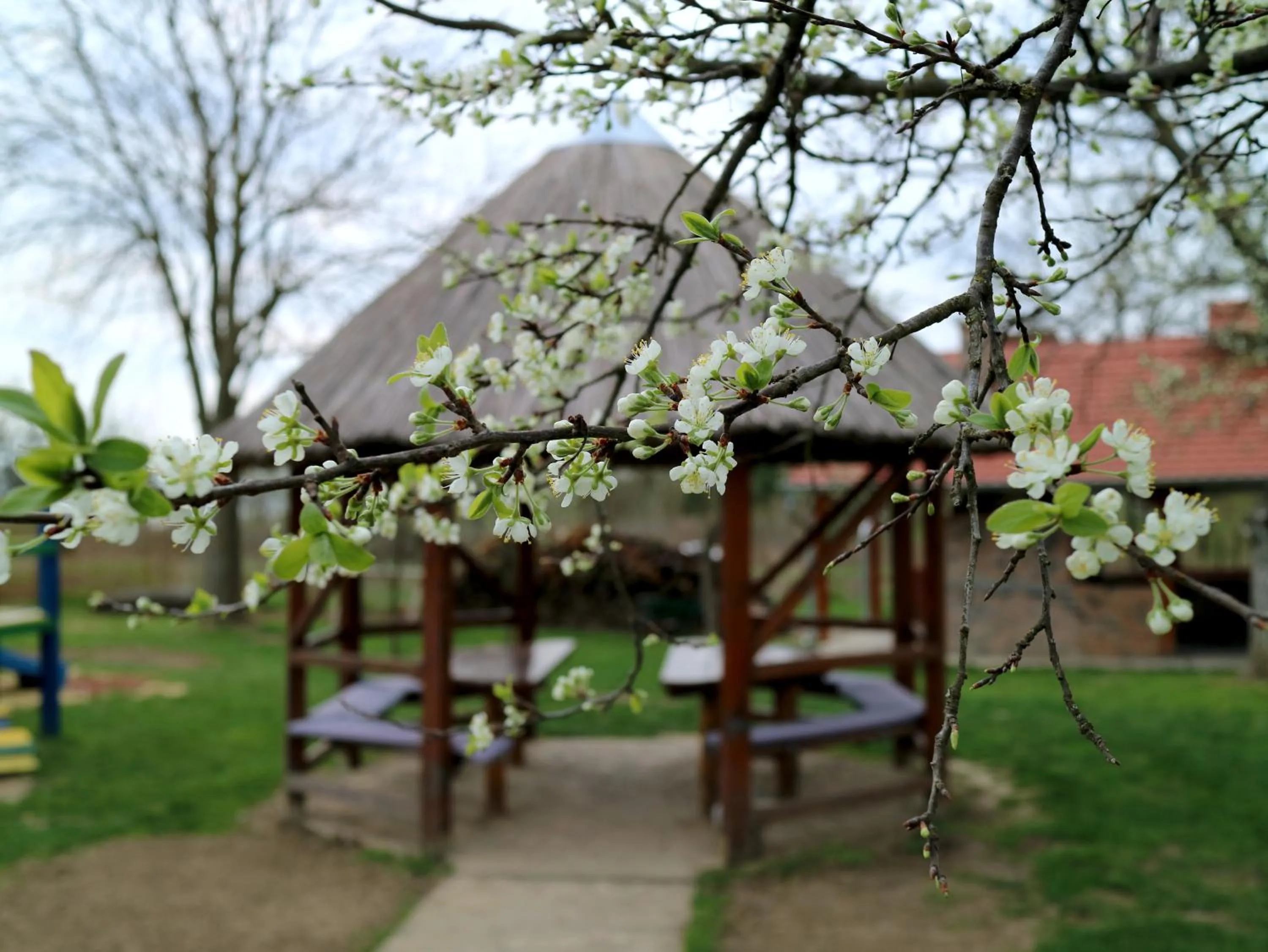 Children play ground in Hotel Lug