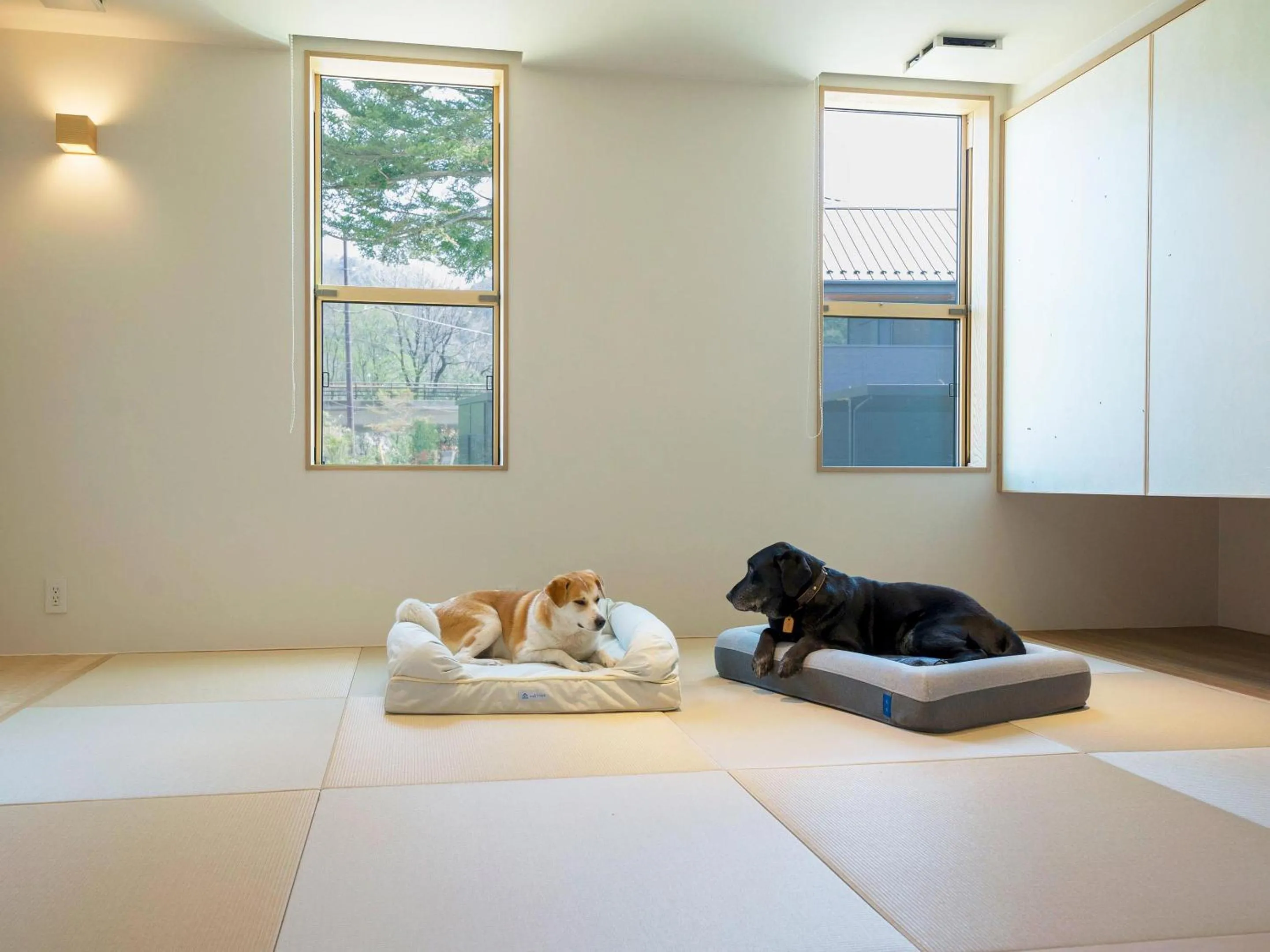 Living room in Rakuten STAY VILLA Kinugawa Riverside