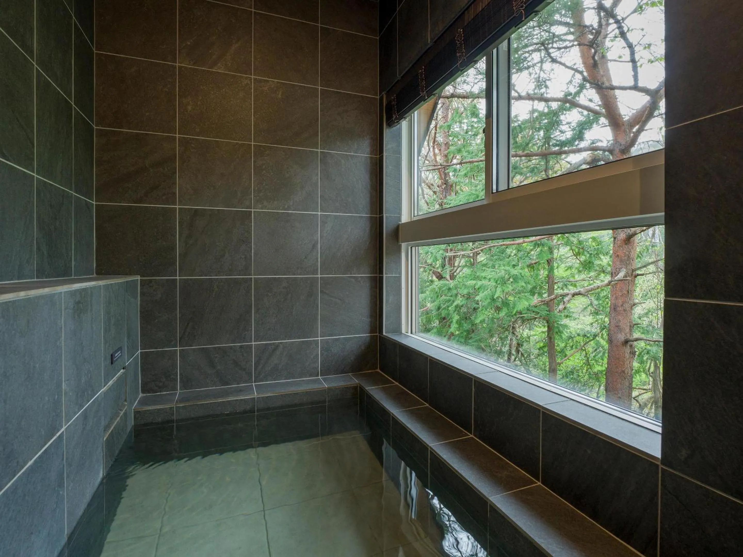 Hot Spring Bath in Rakuten STAY VILLA Kinugawa Riverside