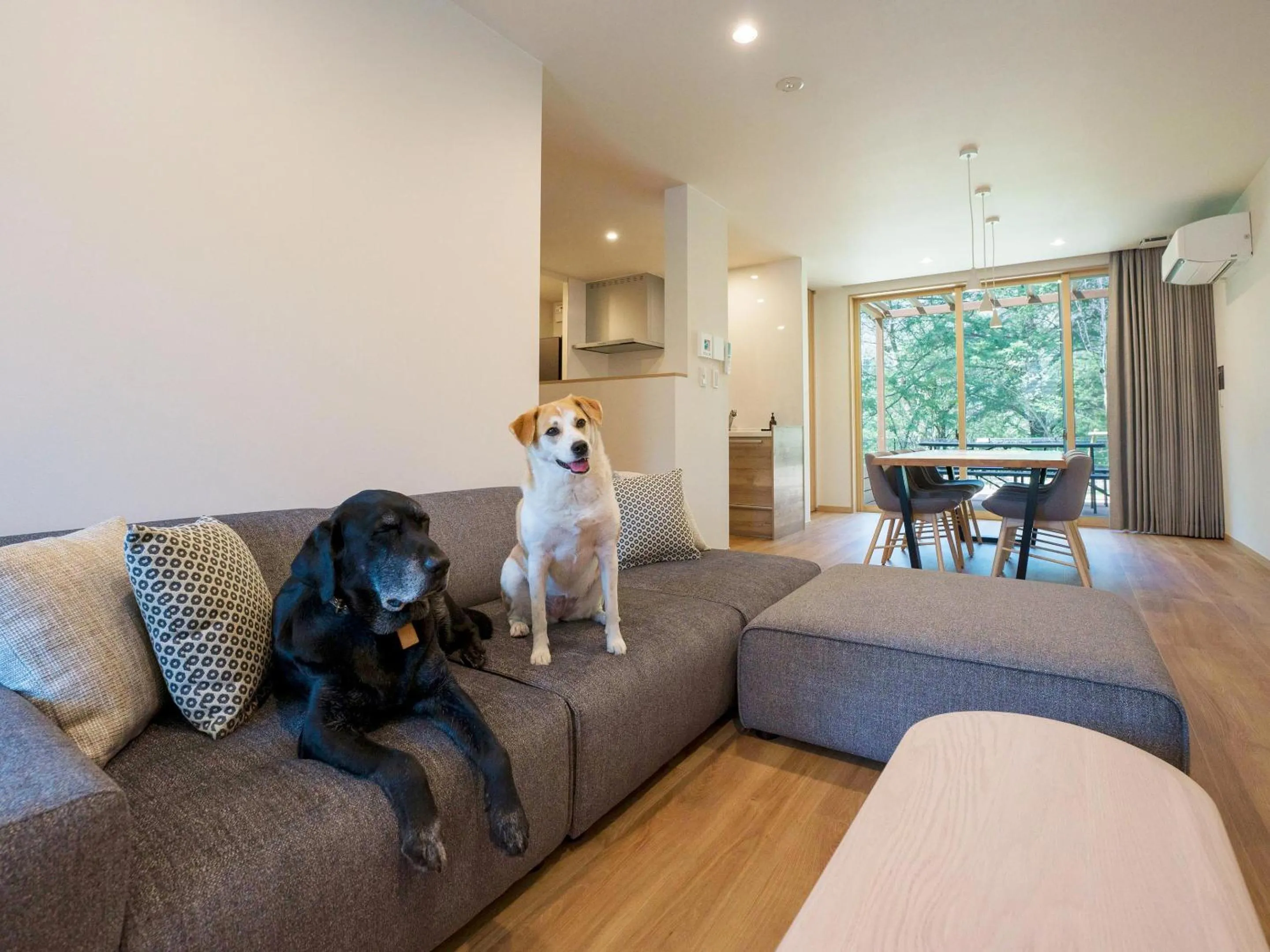 Living room in Rakuten STAY VILLA Kinugawa Riverside