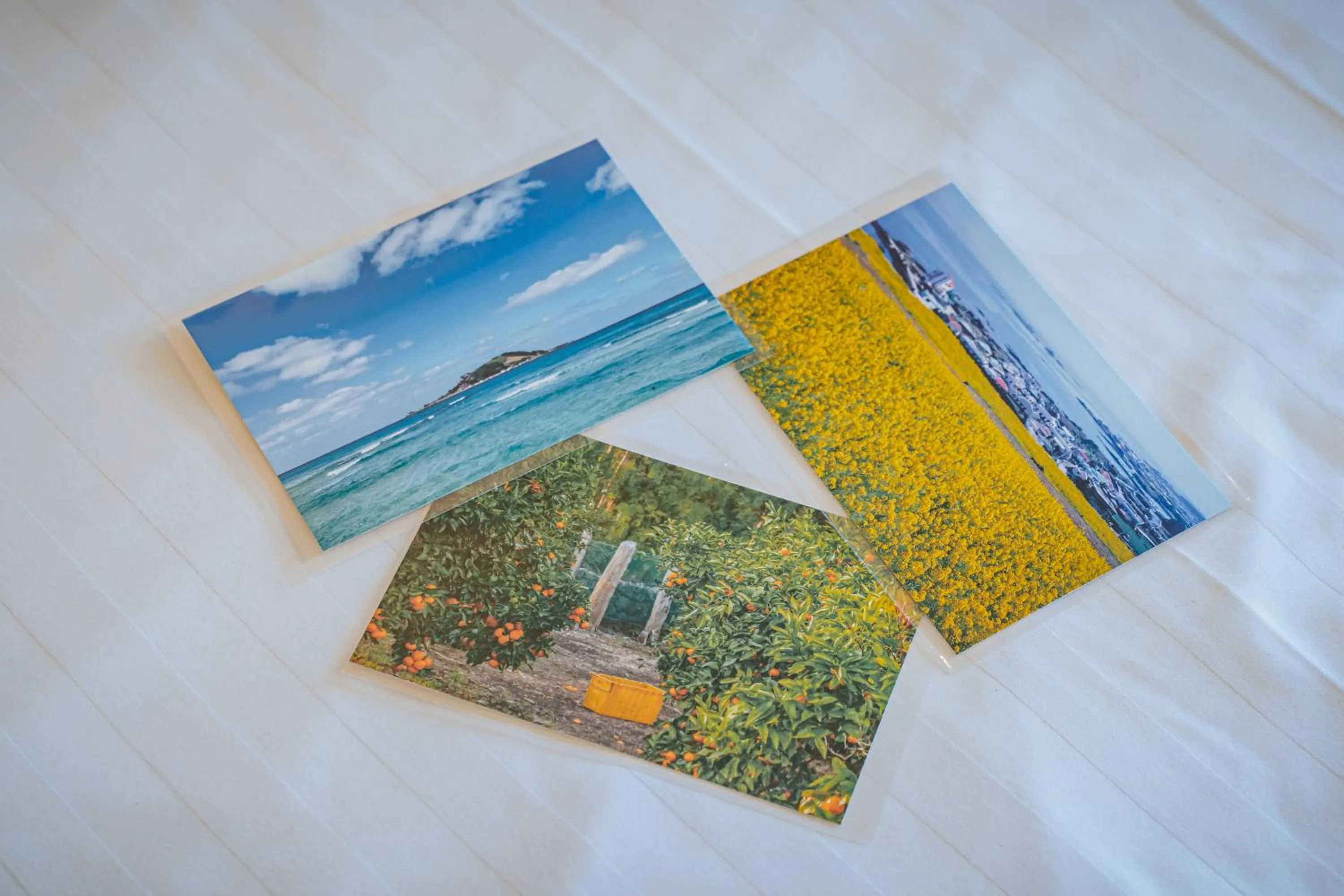 Natural landscape in Hotel Yeon