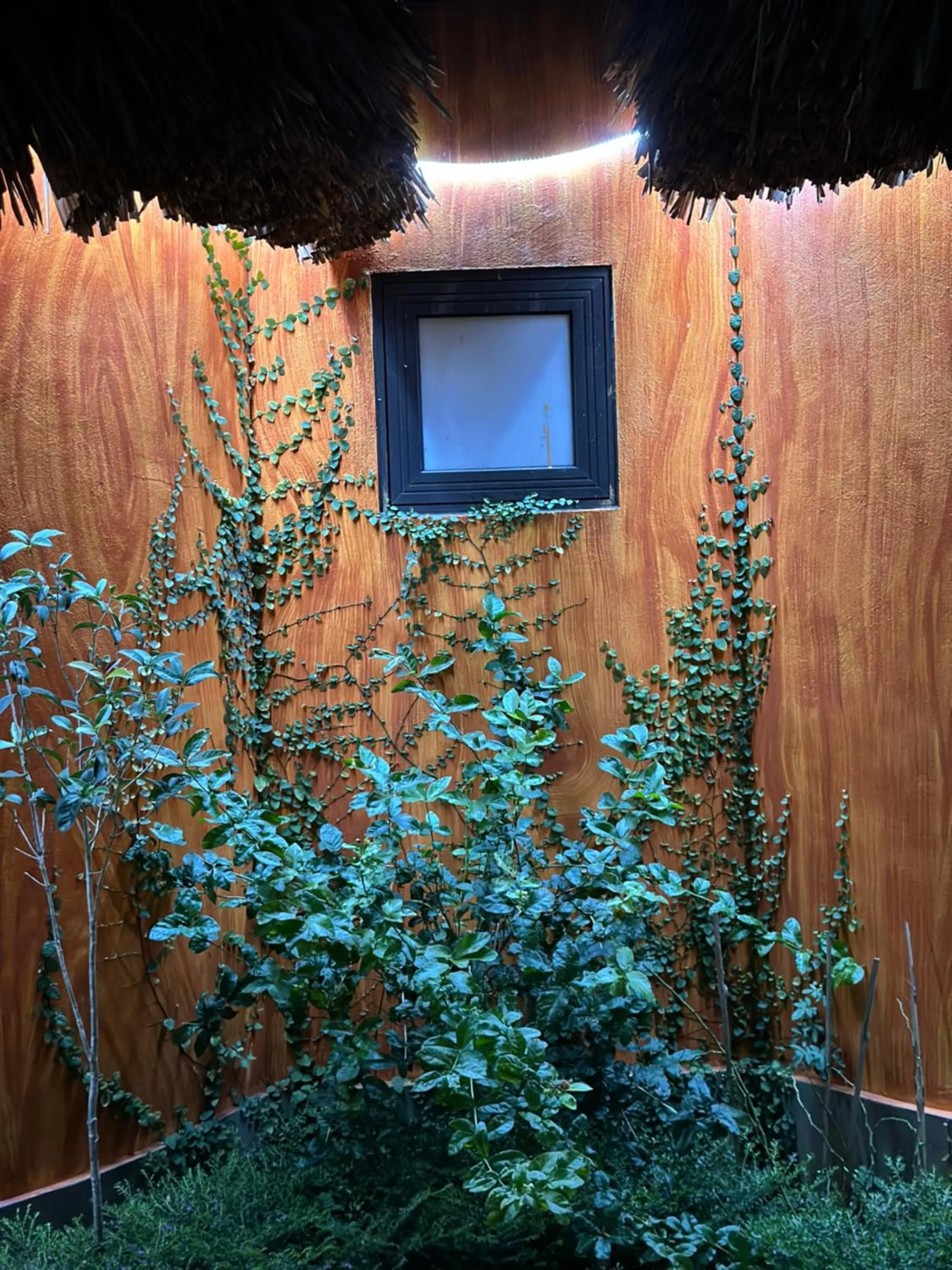 Night in King Bavi Resort