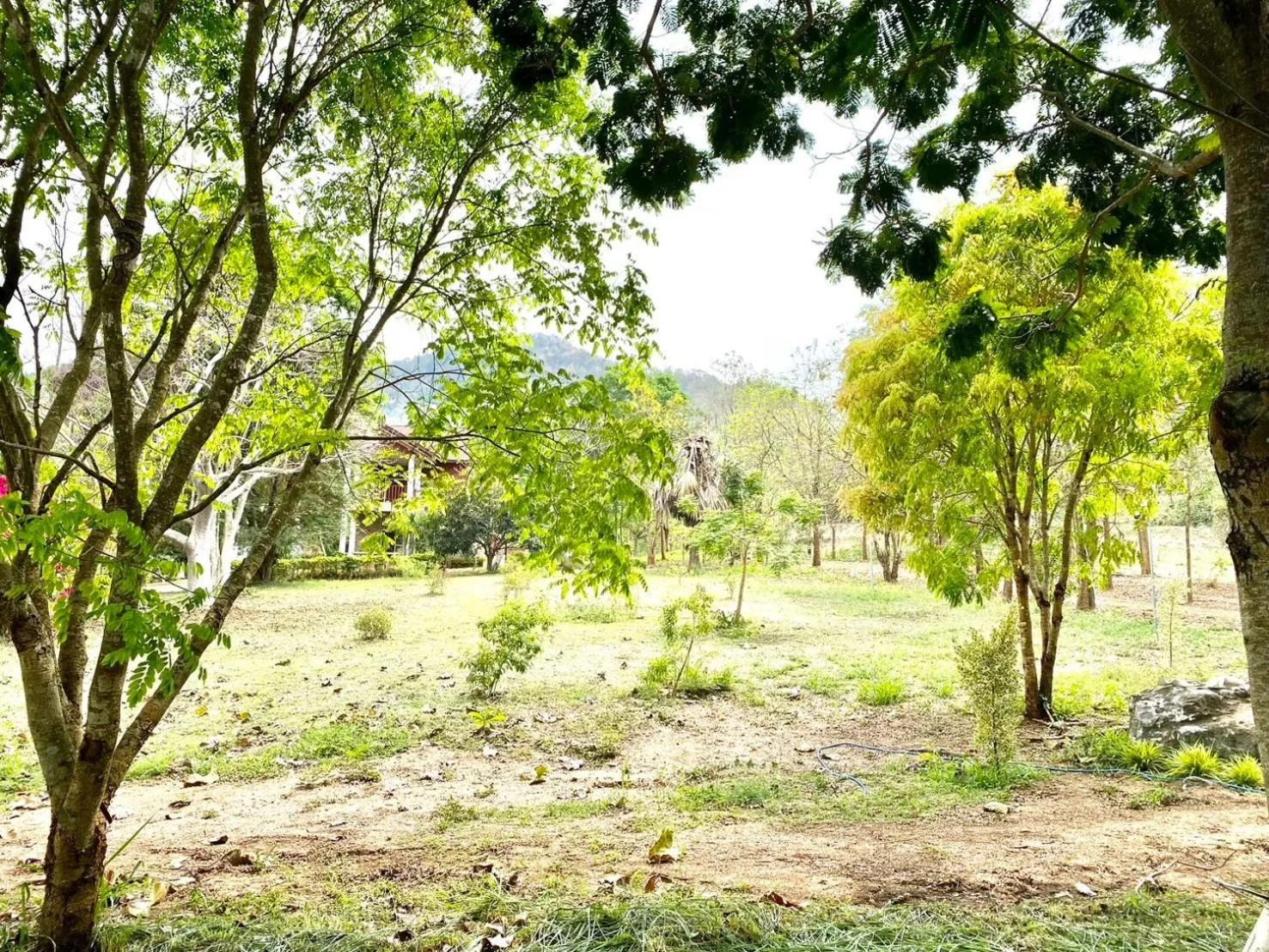 Natural landscape in Khum Khun Phon Resort Khao Yai