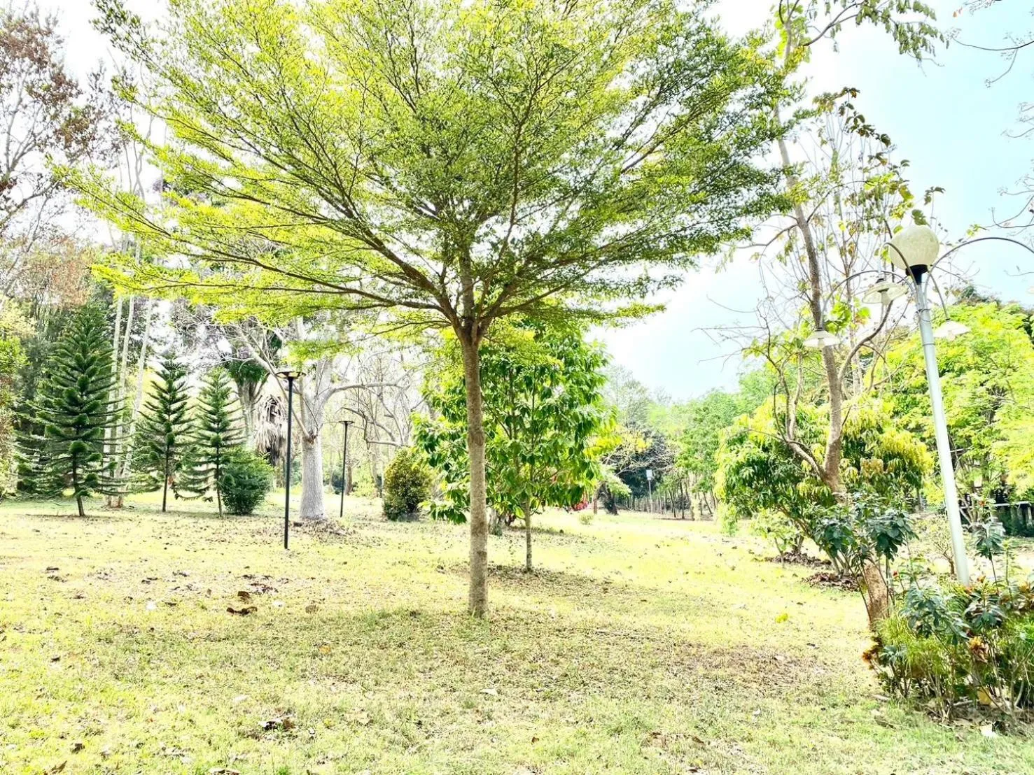 Garden in Khum Khun Phon Resort Khao Yai