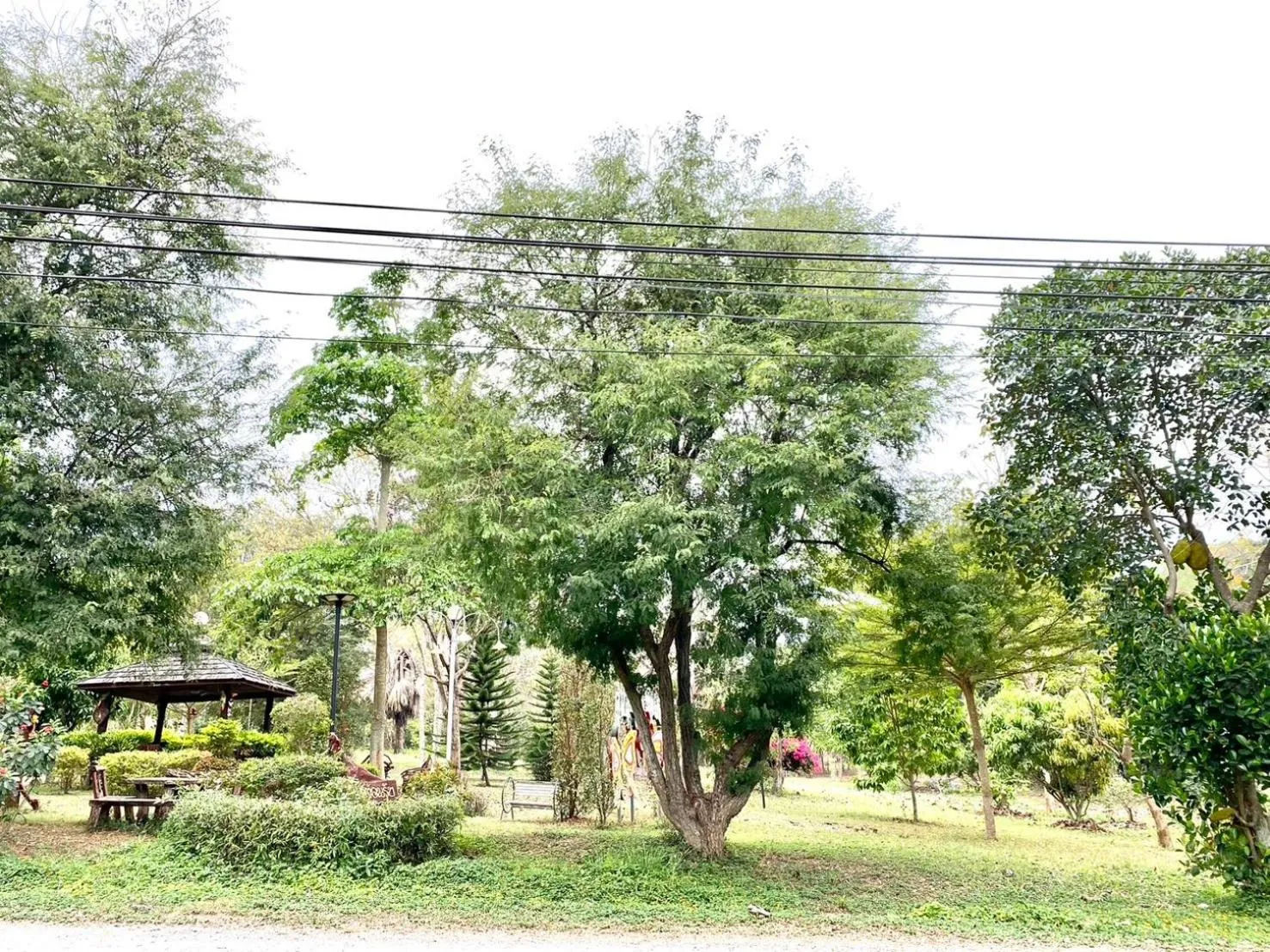 Garden view in Khum Khun Phon Resort Khao Yai