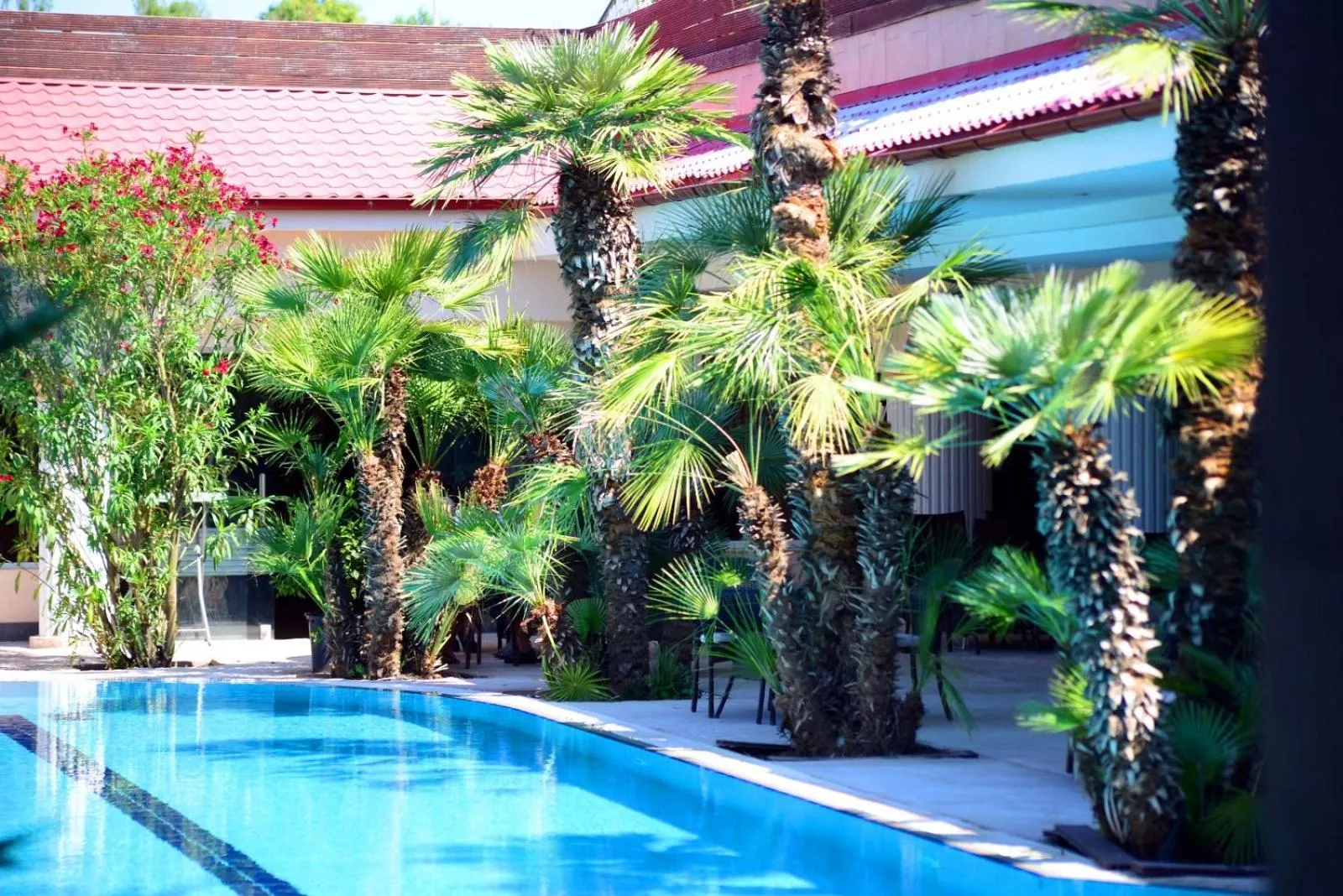 Vox Maris Grand Resort