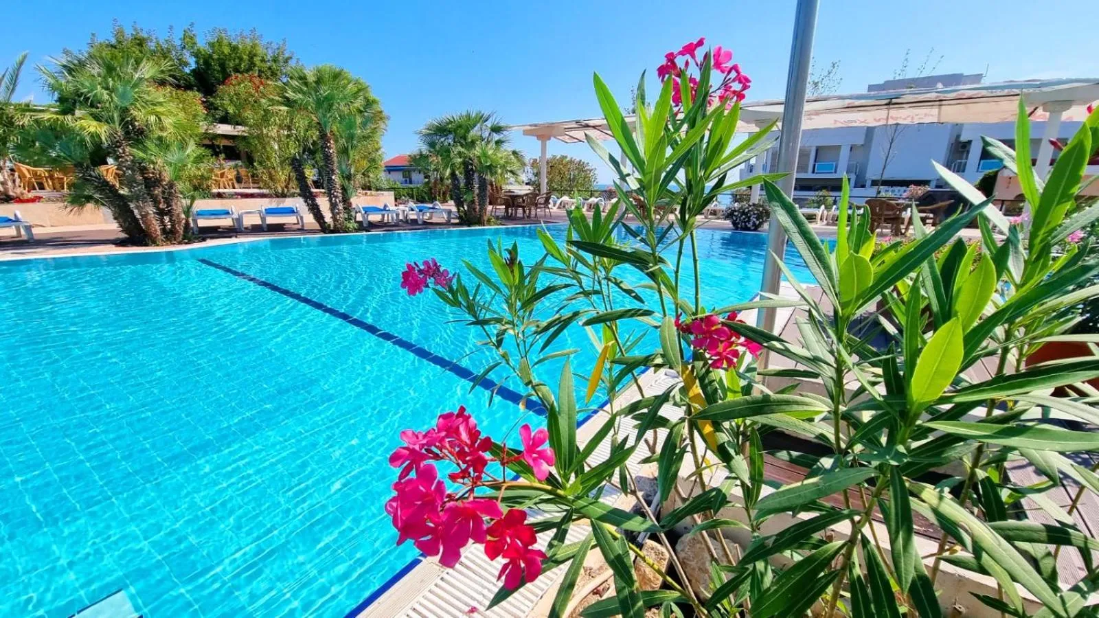 Vox Maris Grand Resort