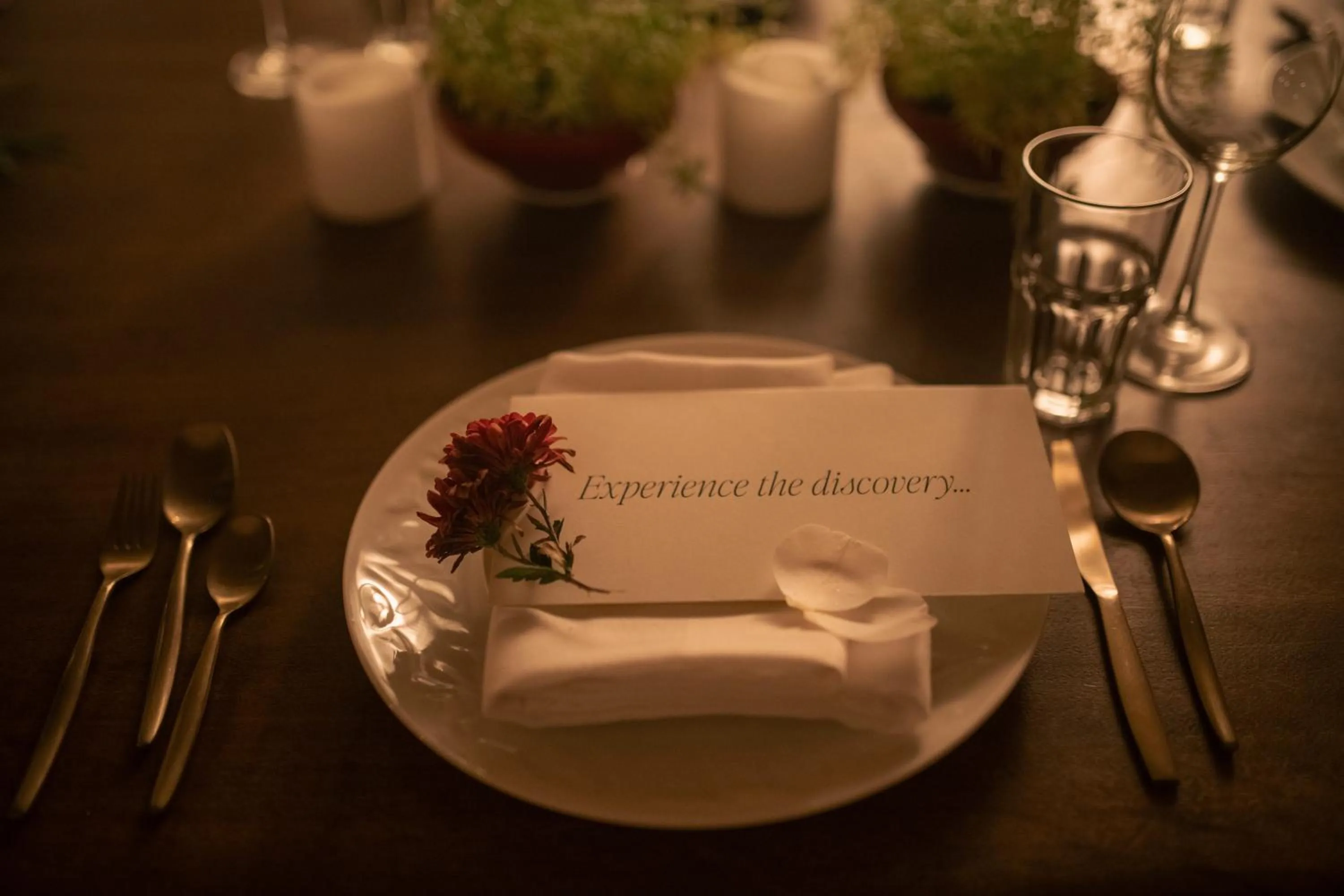 Food and drinks in Brij Atmanya Bhowali, Nainital, A Luxury Mountain Escape